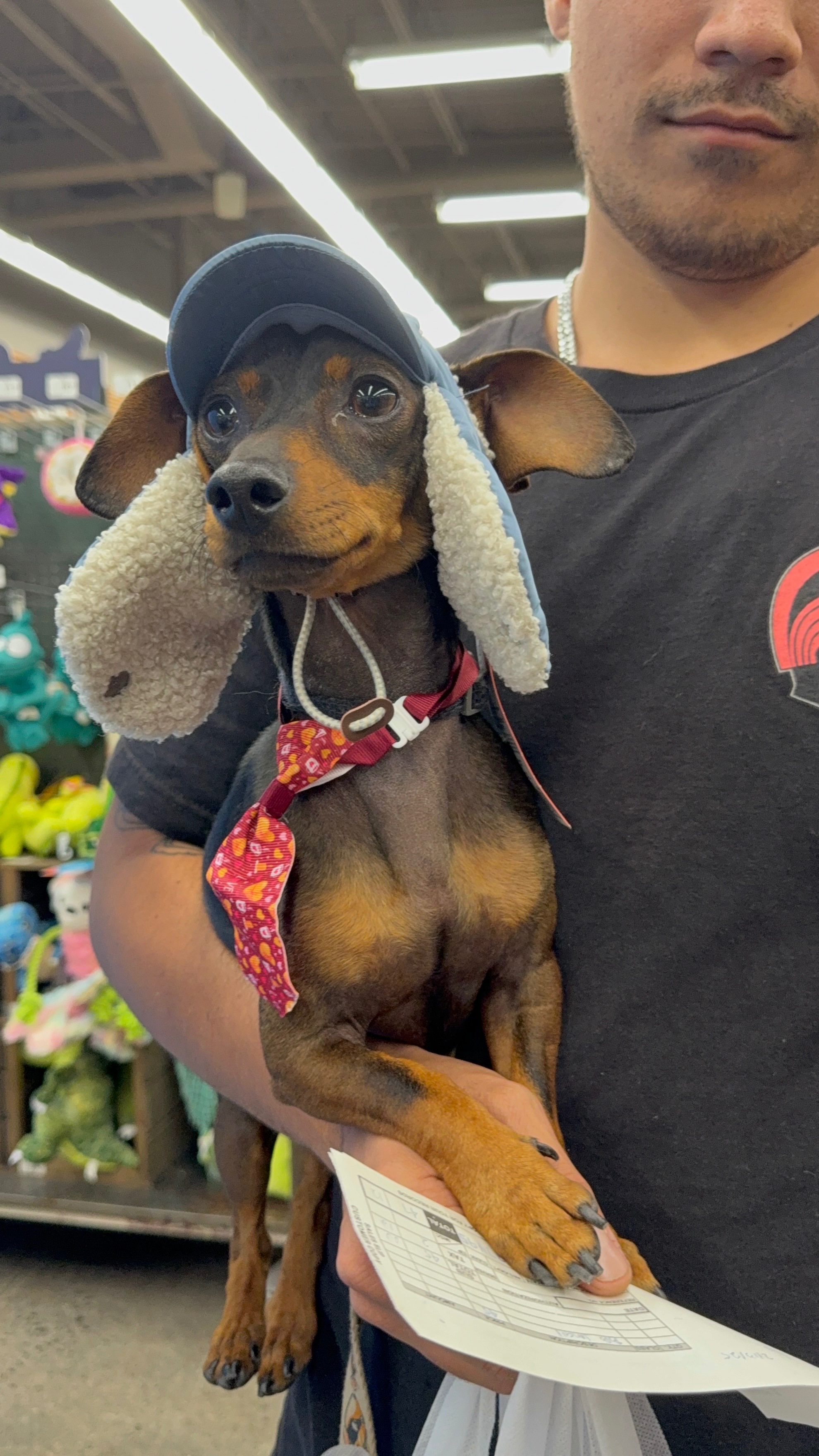 Help Ruca Heal After a Heartbreaking Attack campaign photo, 6 of 7