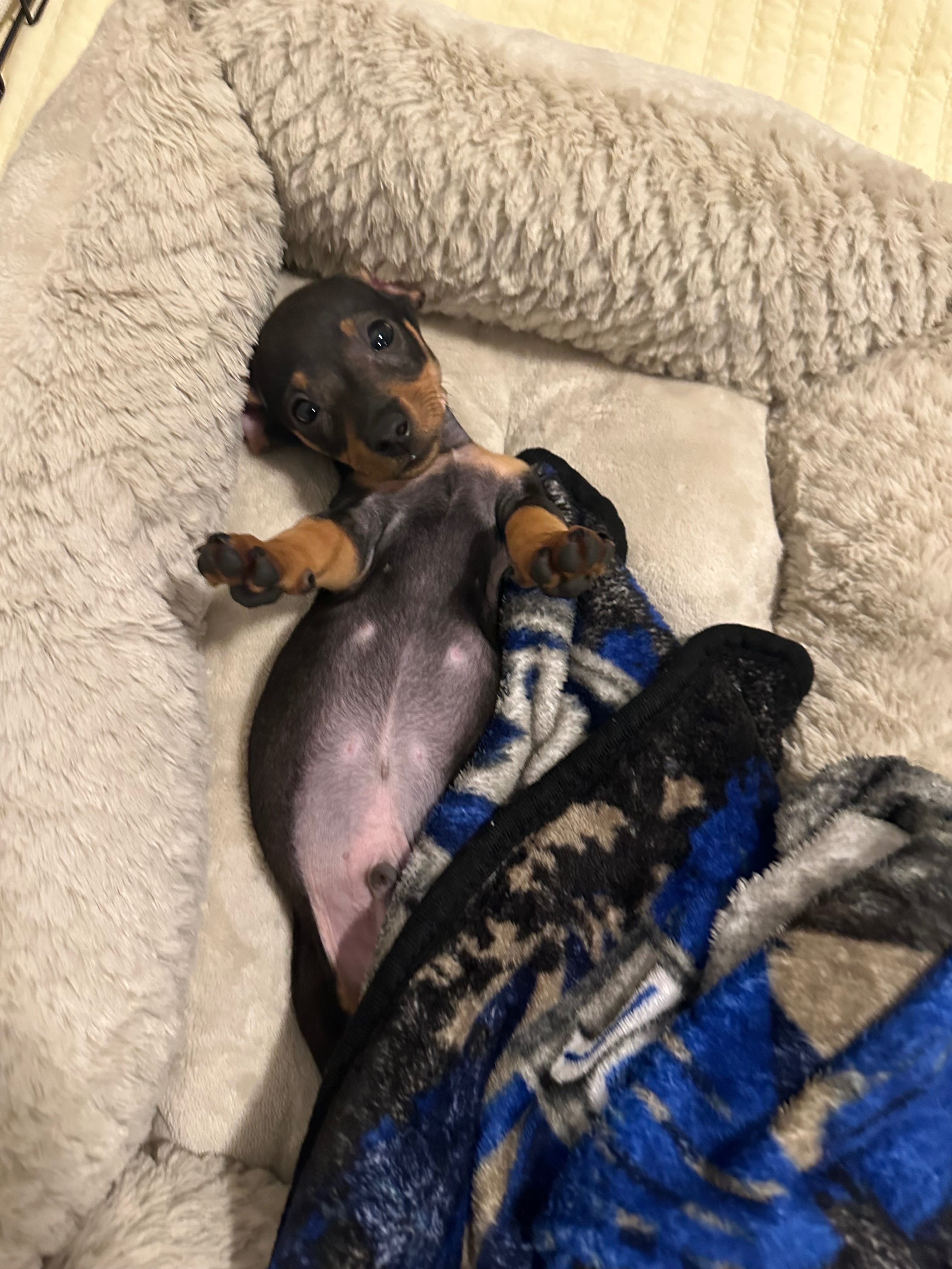 Help Ruca Heal After a Heartbreaking Attack campaign photo, 4 of 7