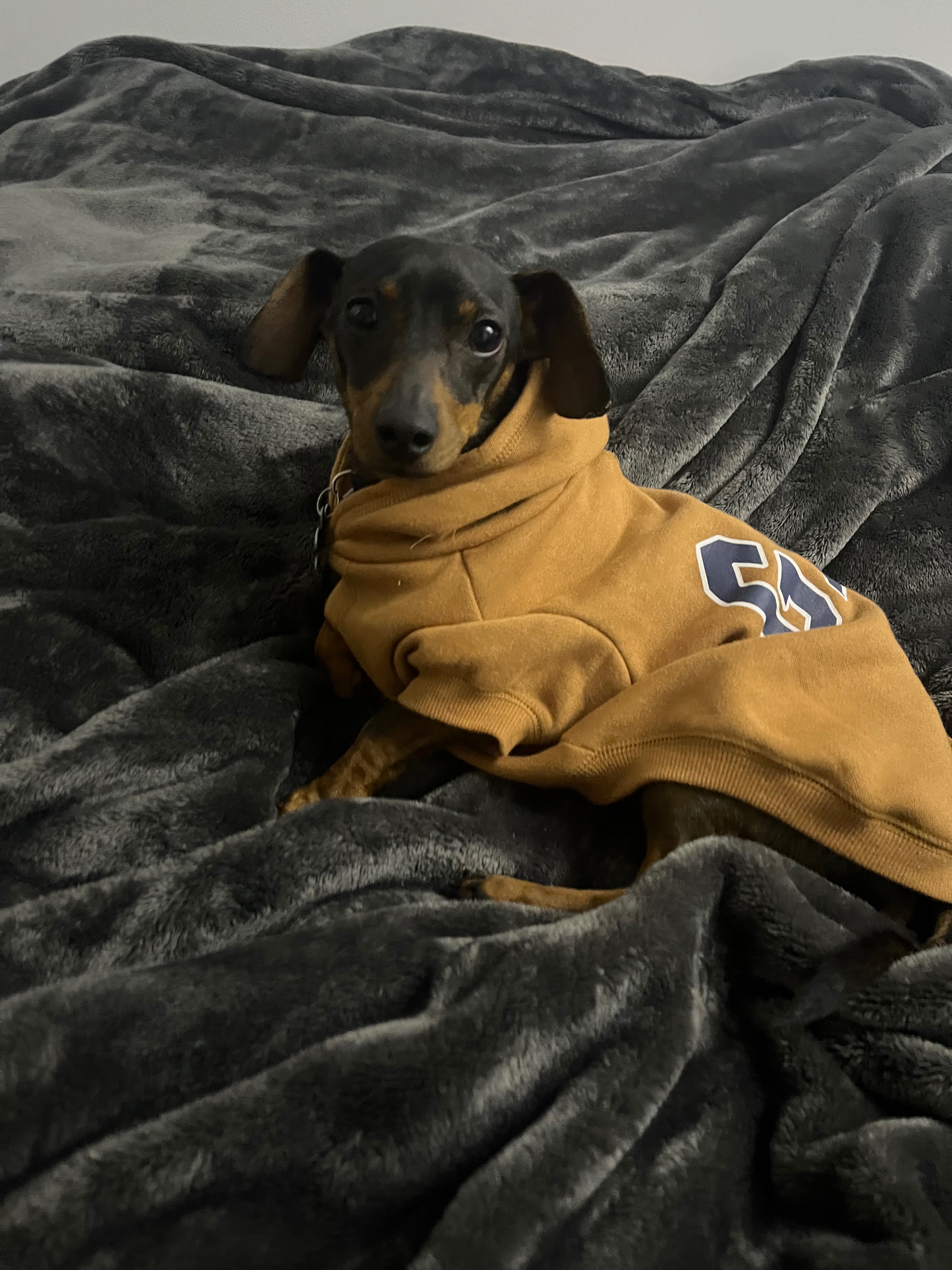 Help Ruca Heal After a Heartbreaking Attack campaign photo, 5 of 7