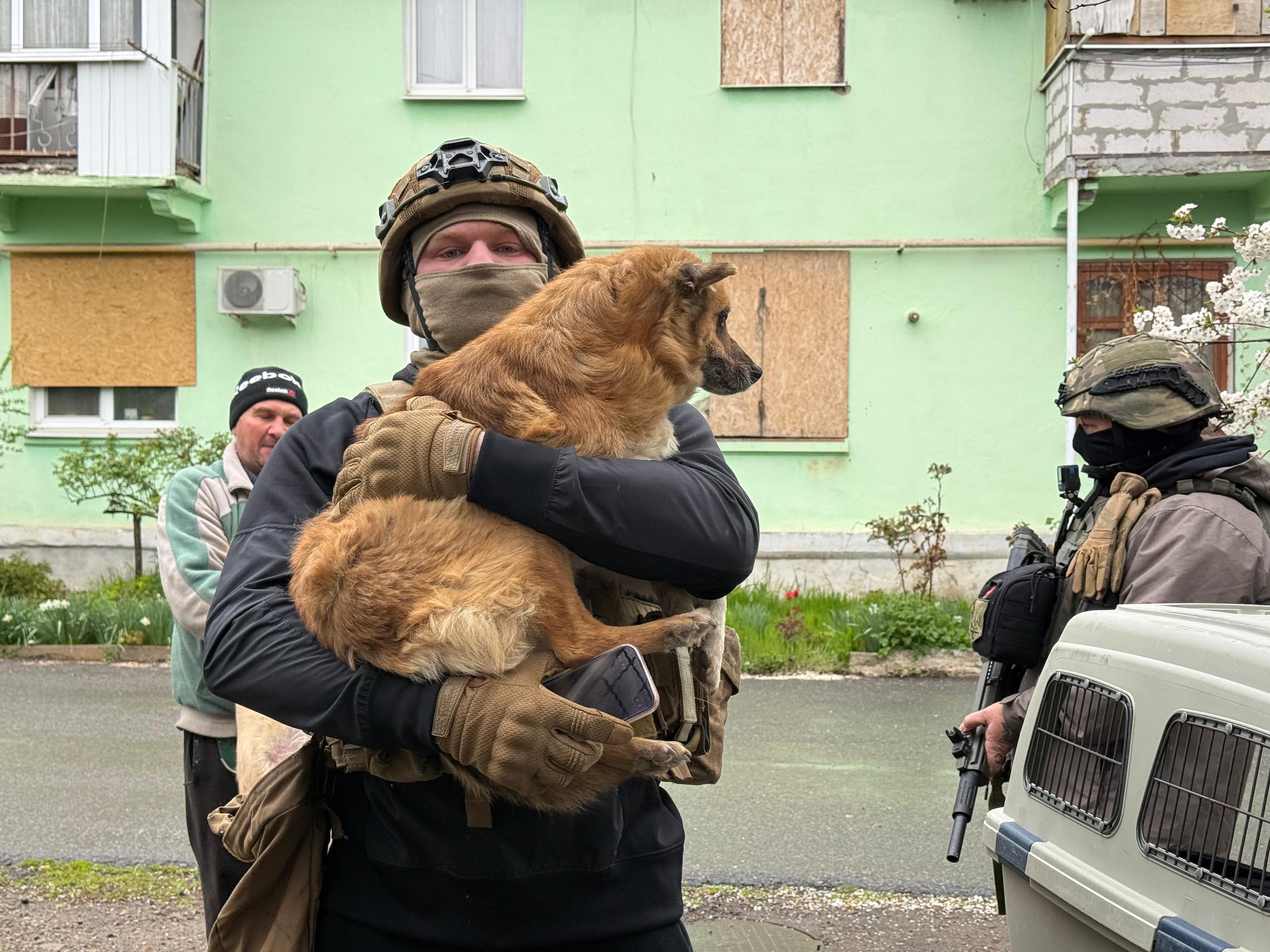 Front line evacuations, animals in need in Ukraine campaign photo, 2 of 8