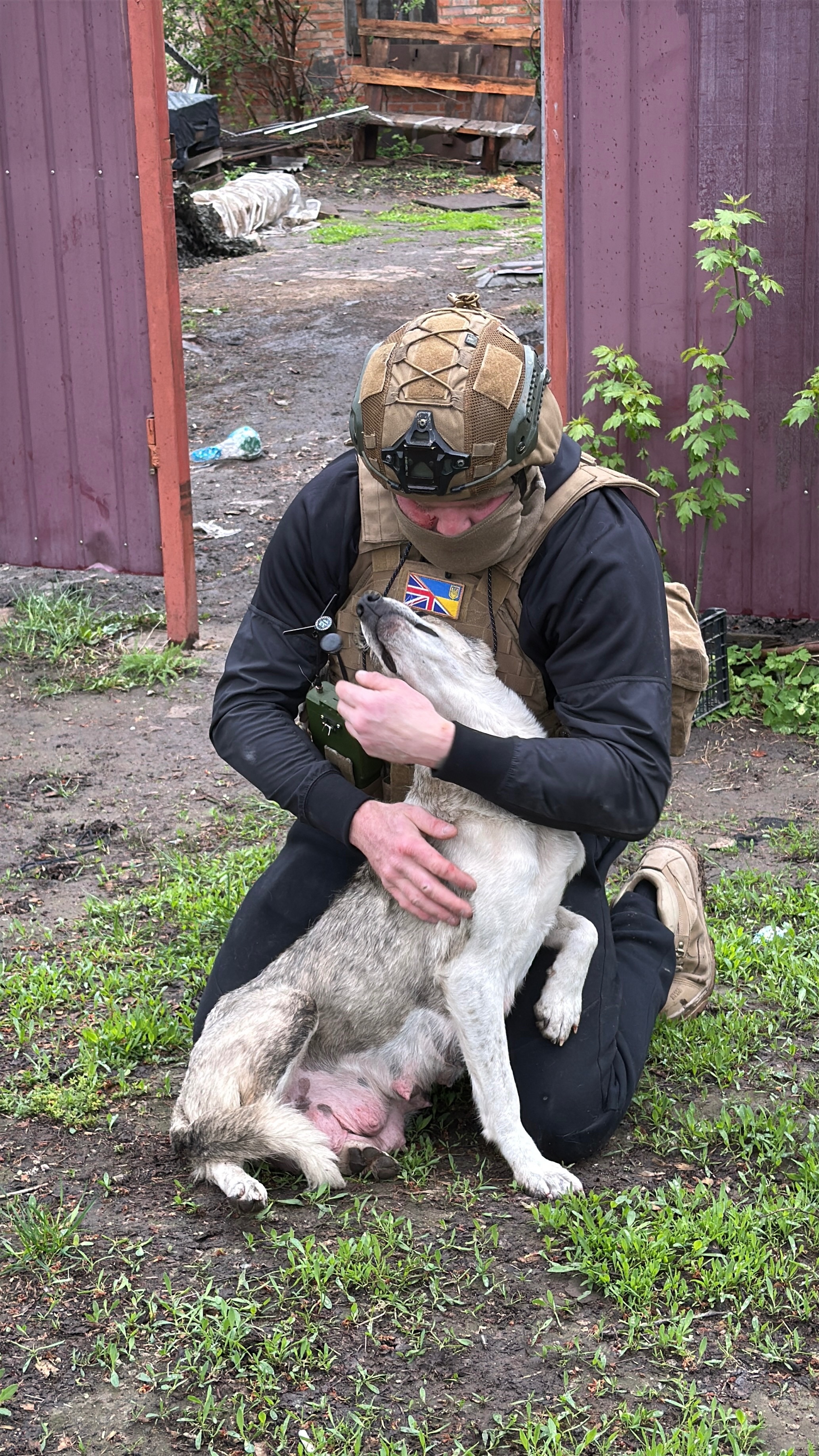 Front line evacuations, animals in need in Ukraine campaign photo, 4 of 8