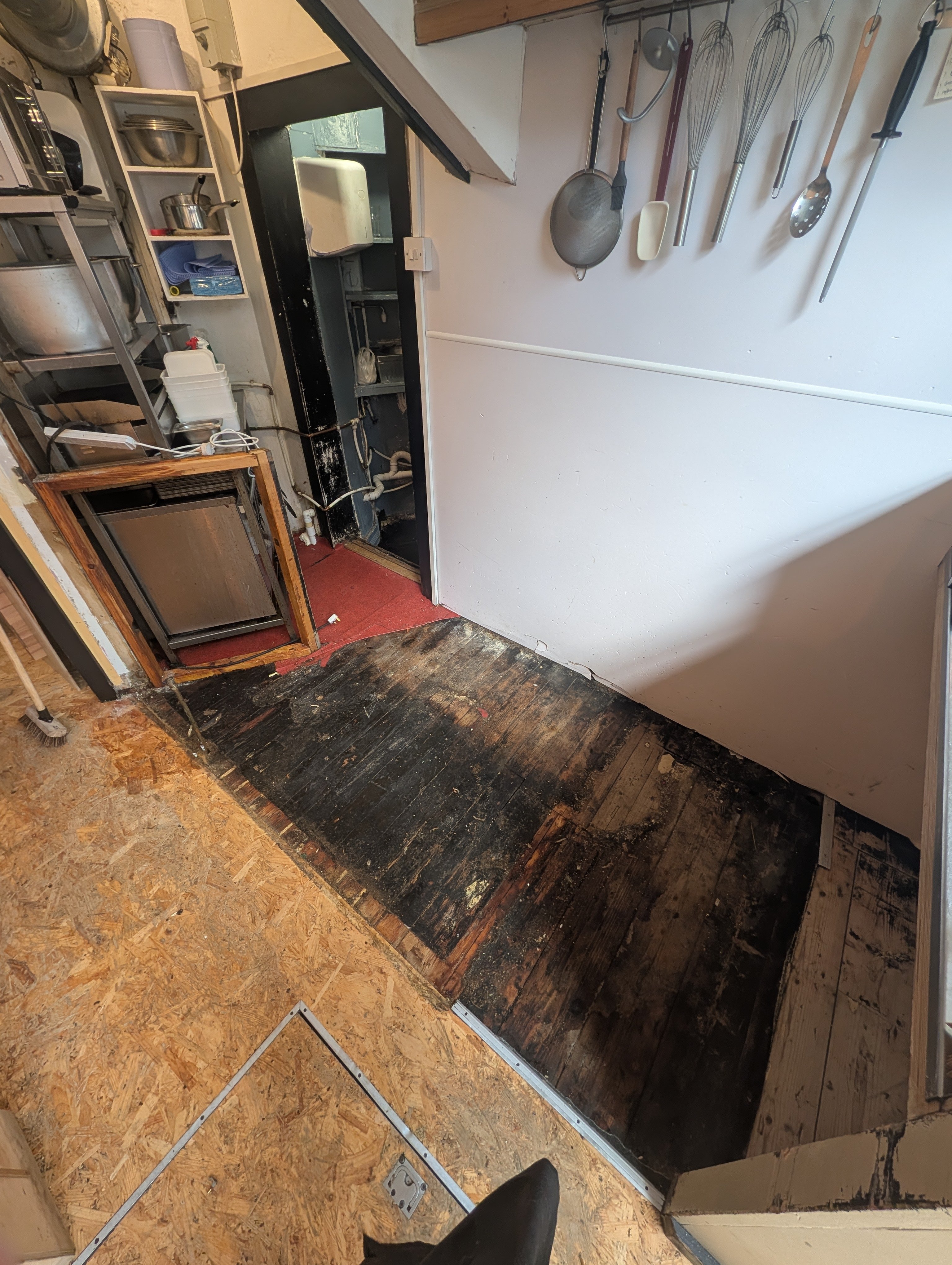 Donate to help with refurbishment costs to keep NOLA running campaign photo, 4 of 6
