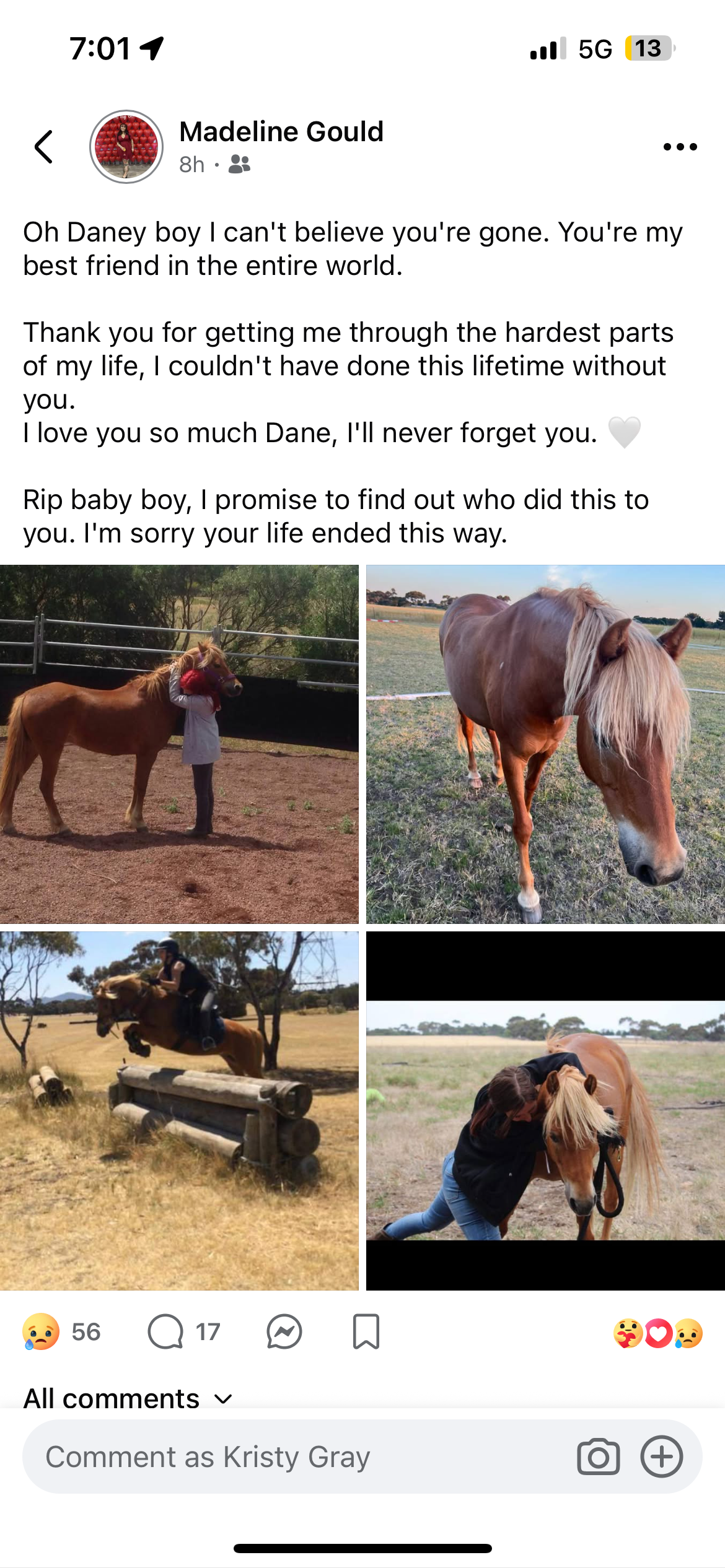 Help Bring Dane's Ashes Home to Maddy & her family campaign photo, 4 of 8