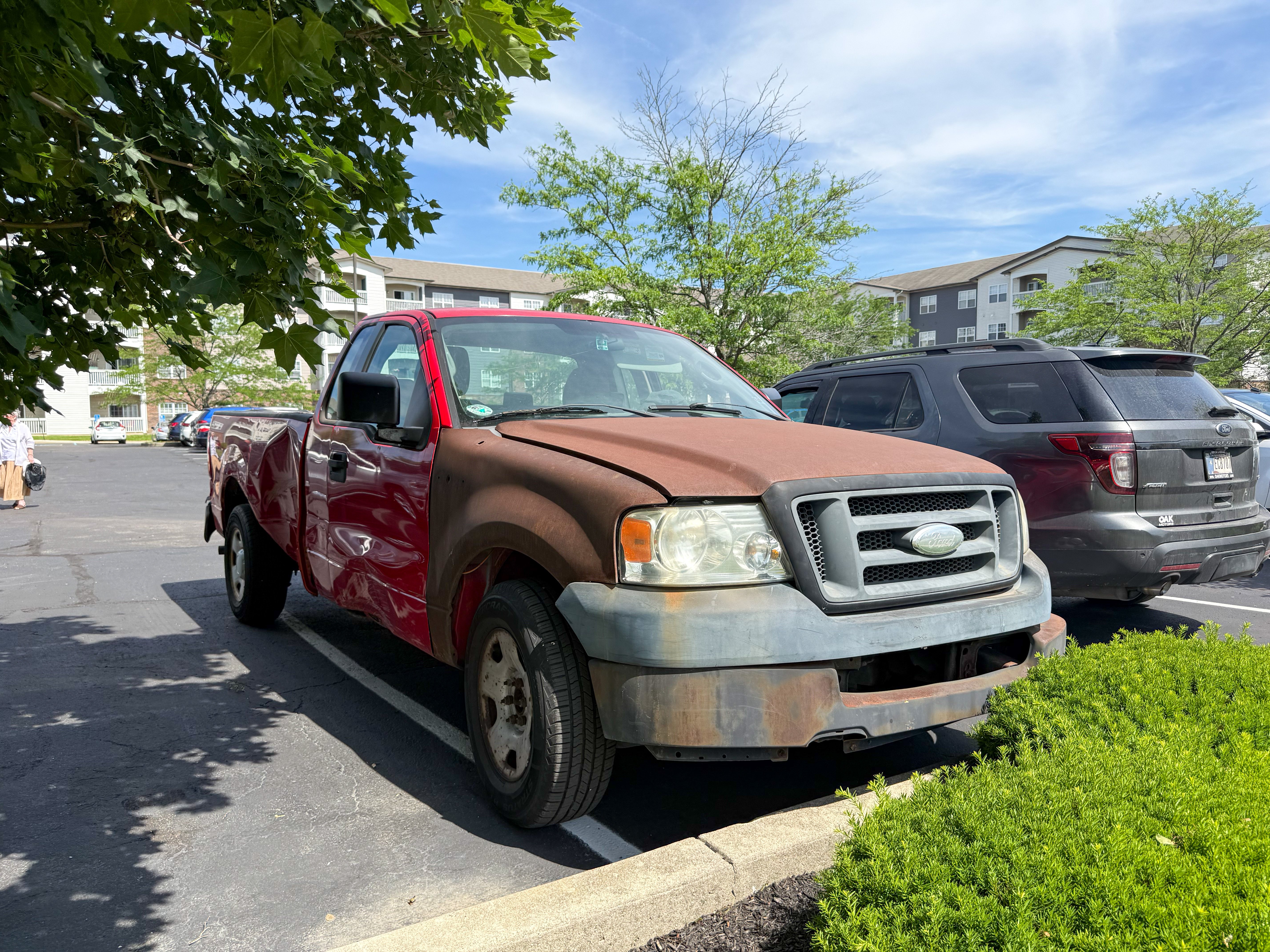 ONE LAST CAR, A LIFETIME OF LOVE — HELP MARIANNE campaign photo, 4 of 8