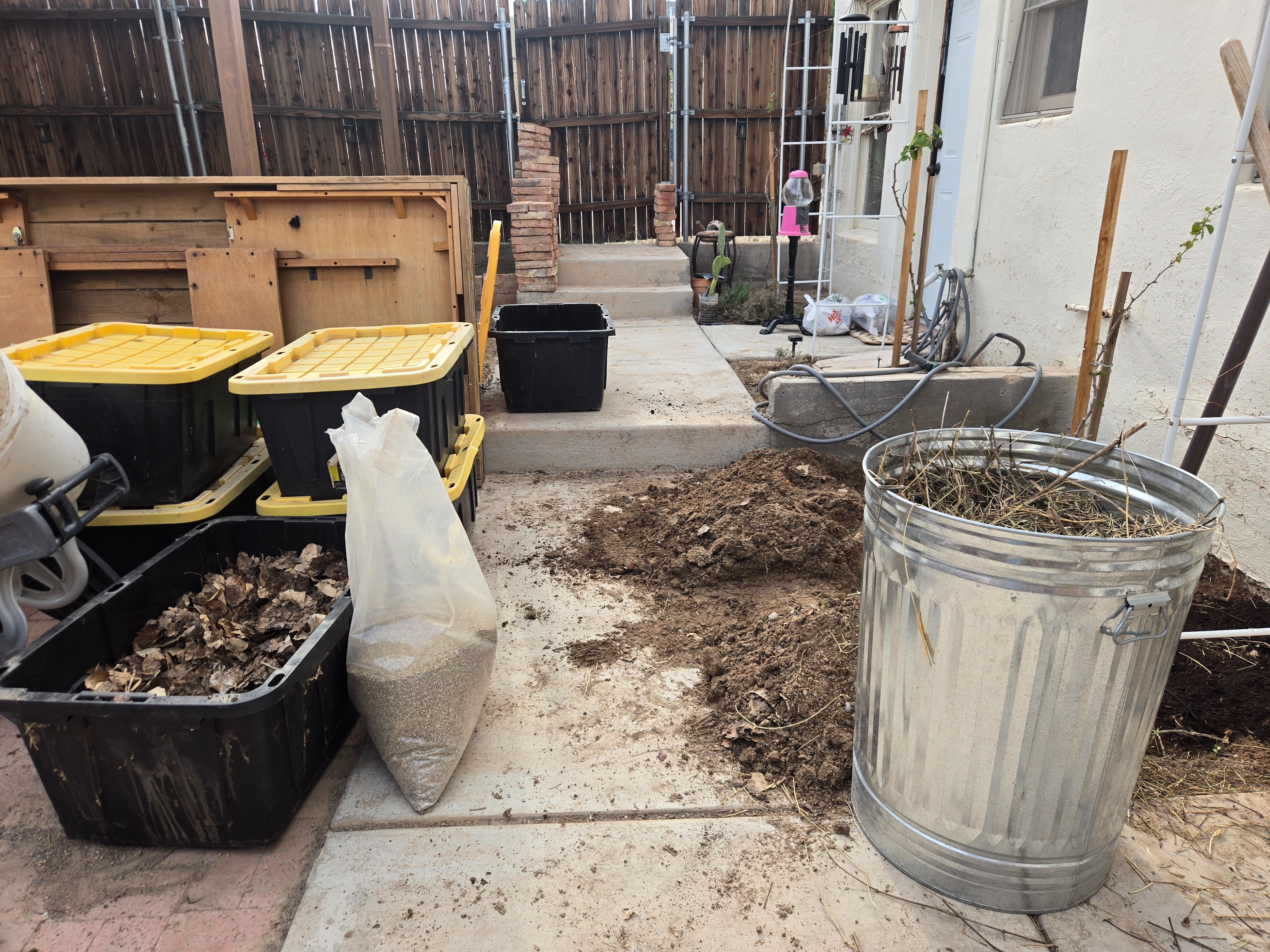 Help Angelica Start a Community Garden in Las Vegas campaign photo, 4 of 8