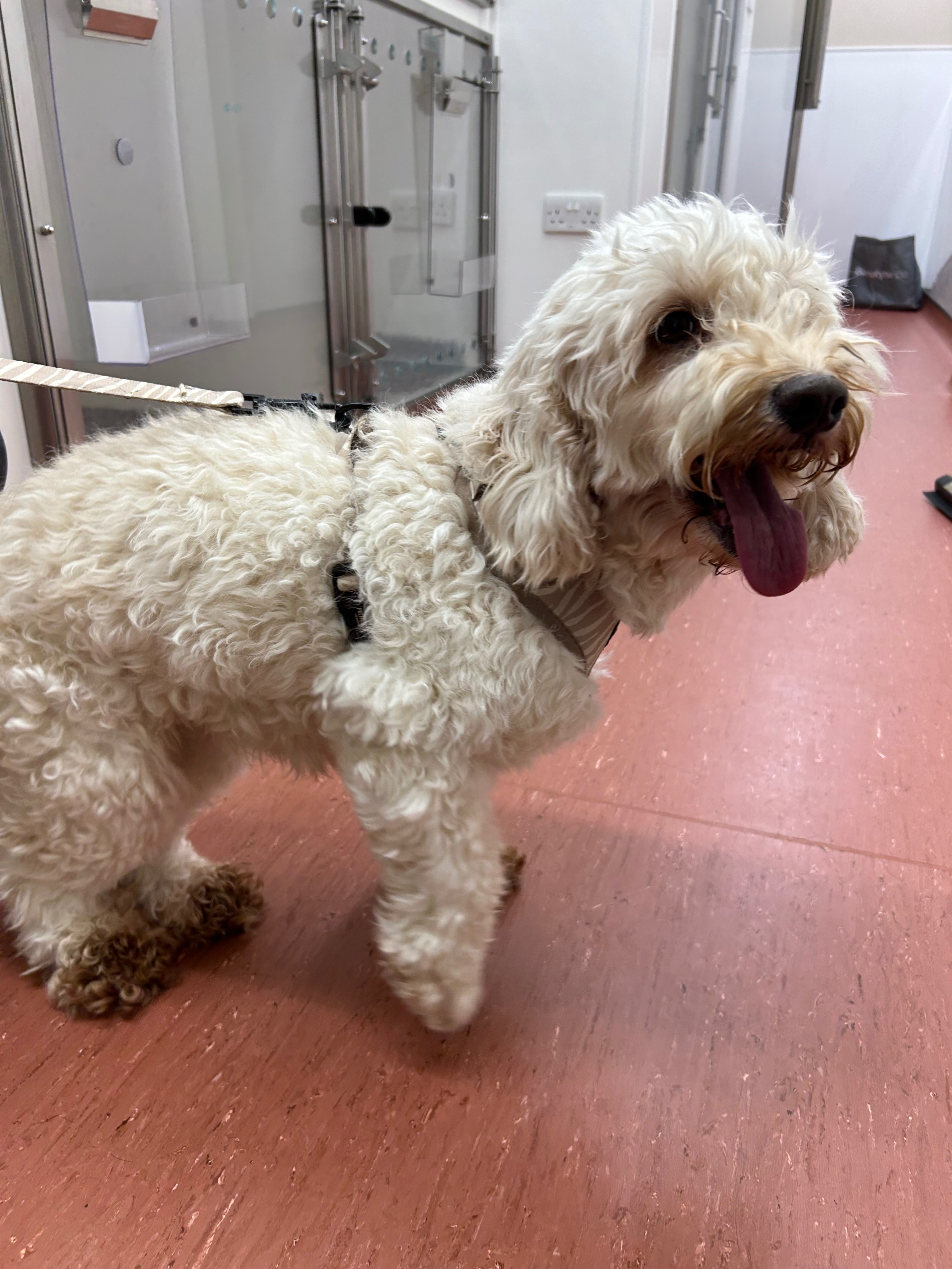 Sunny Nearly Lost Her Life — Help Us Fight for Her campaign photo, 5 of 8