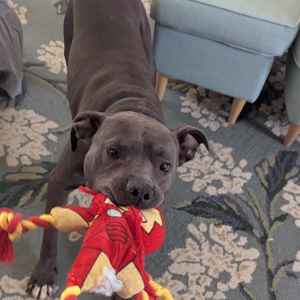 Blake Needs a Second Knee Surgery to Walk Without Pain campaign photo, 4 of 8