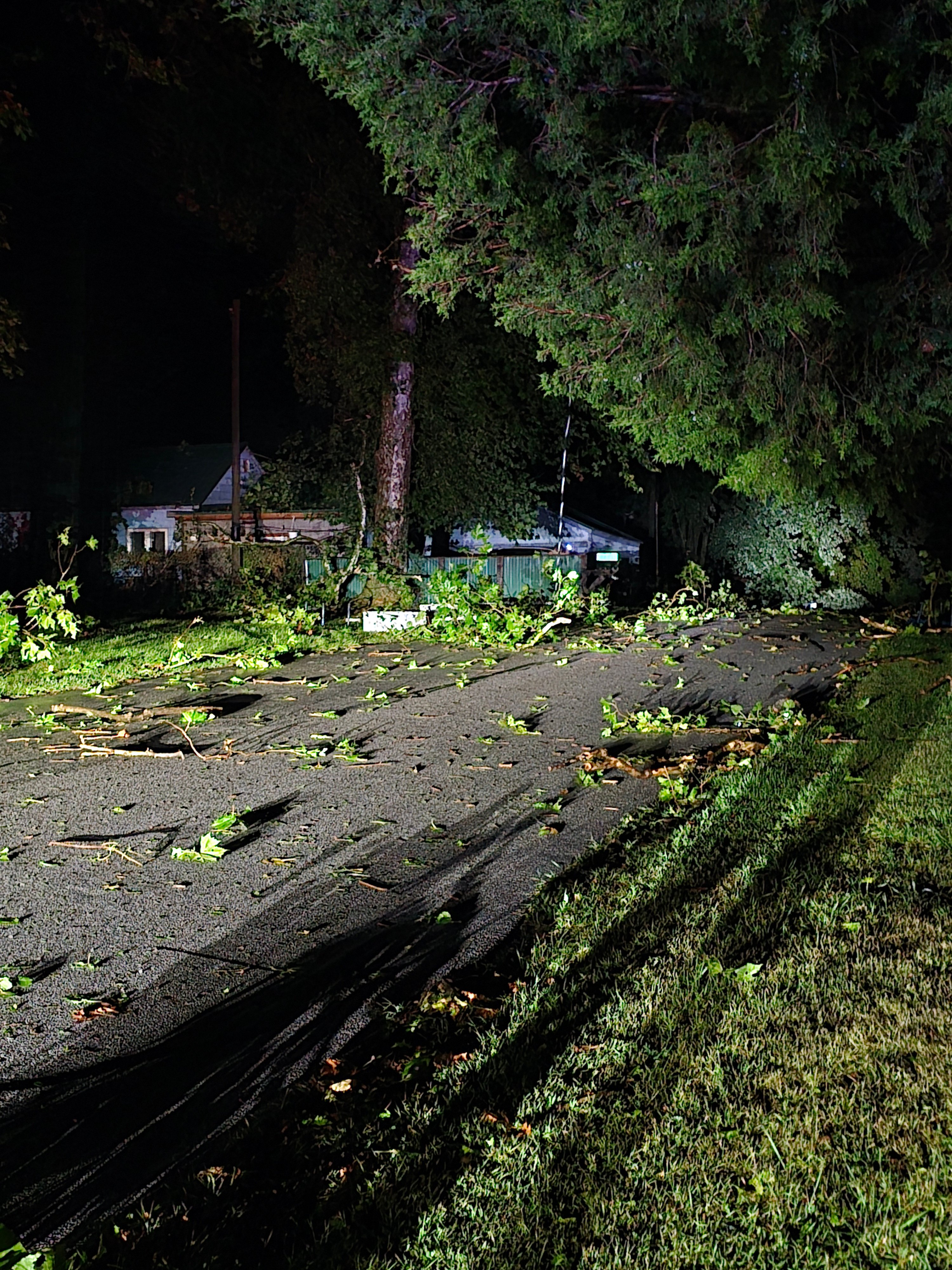 Repair Tornado Damage for Jennifer and Her Kitties campaign photo, 6 of 7