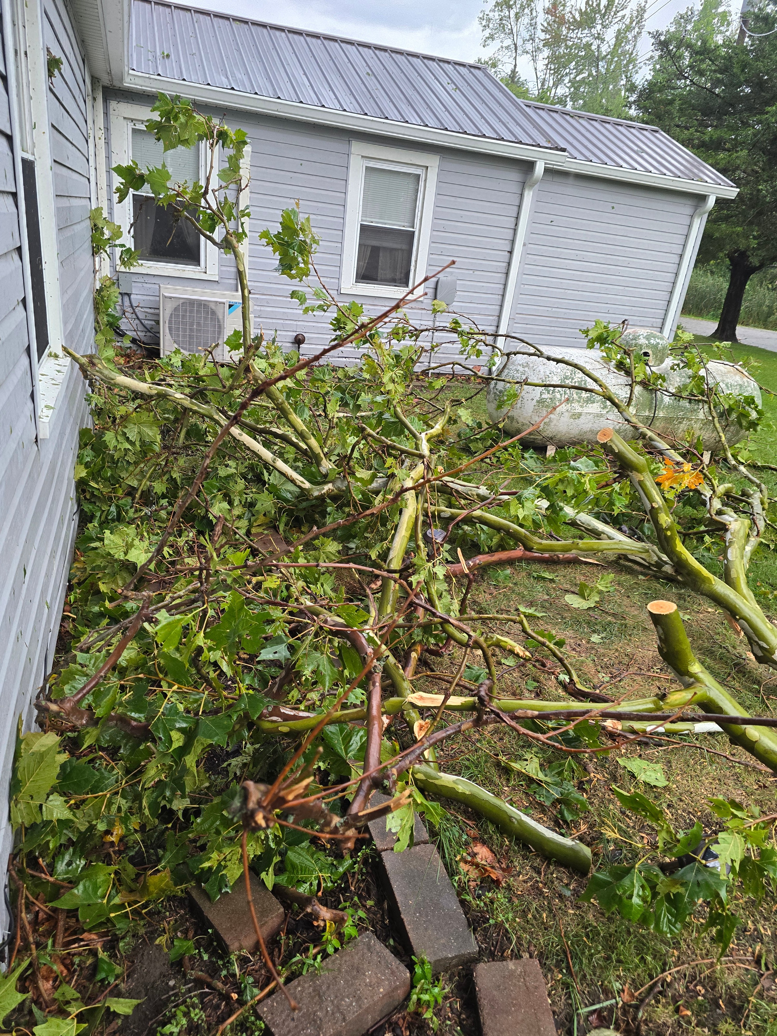 Repair Tornado Damage for Jennifer and Her Kitties campaign photo, 4 of 7