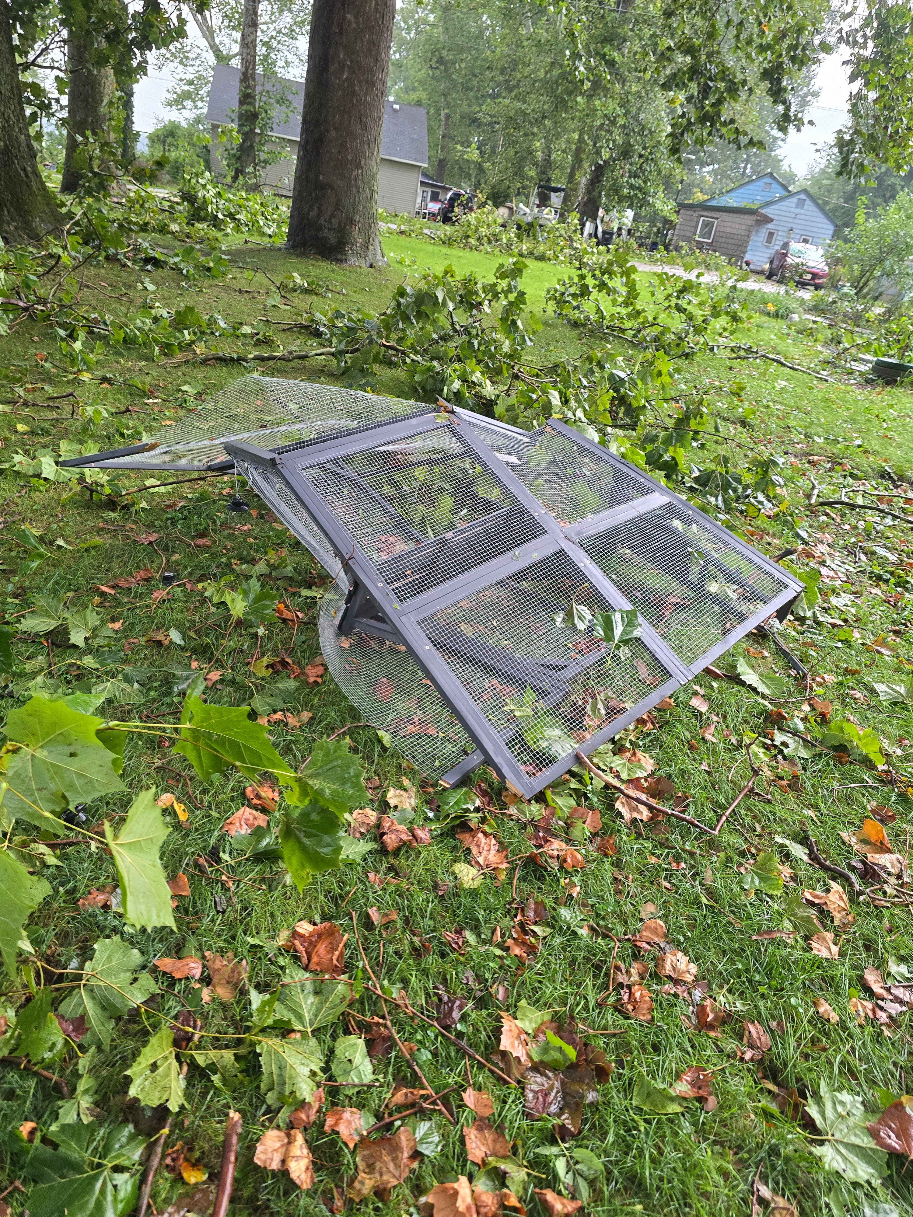 Repair Tornado Damage for Jennifer and Her Kitties campaign photo, 5 of 7
