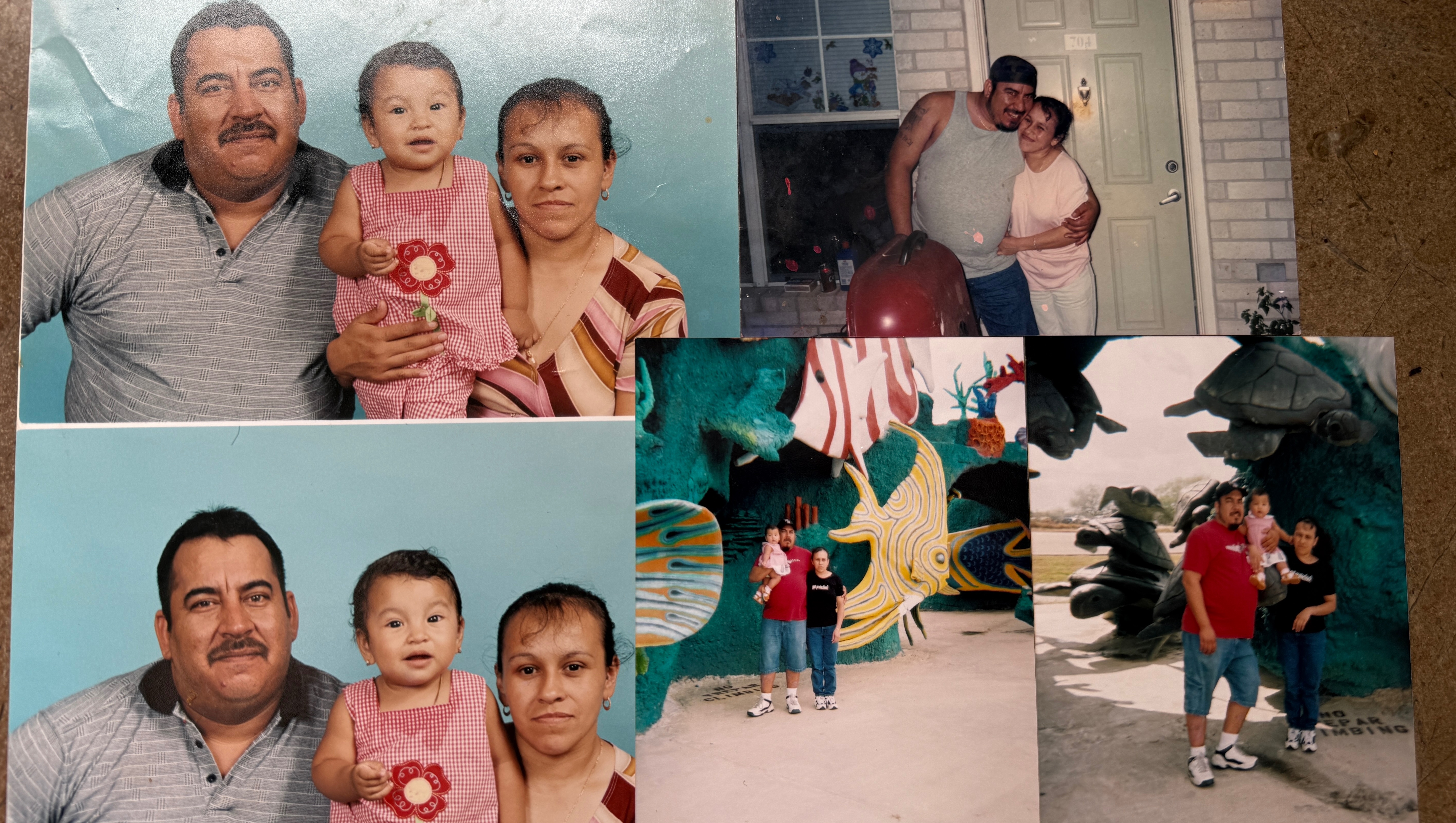 Mother detained by ICE after 20 years in U.S., family seeks help