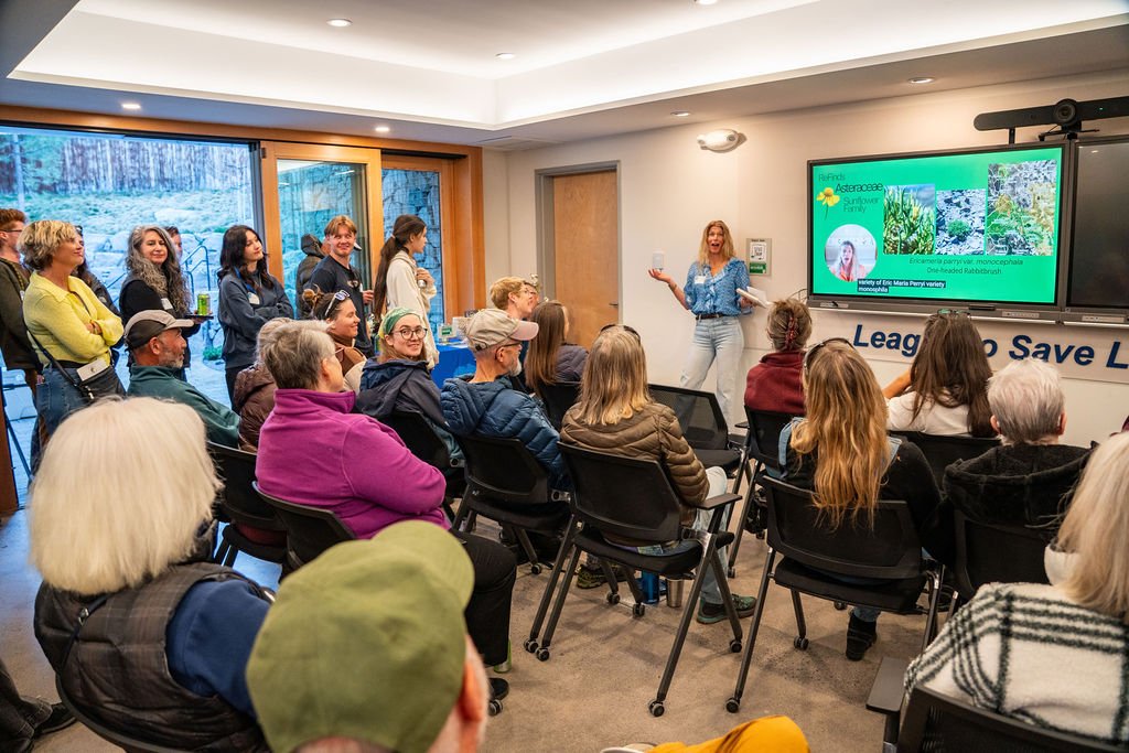 Help Publish Plants of the Tahoe Region 2nd edition campaign photo, 2 of 10