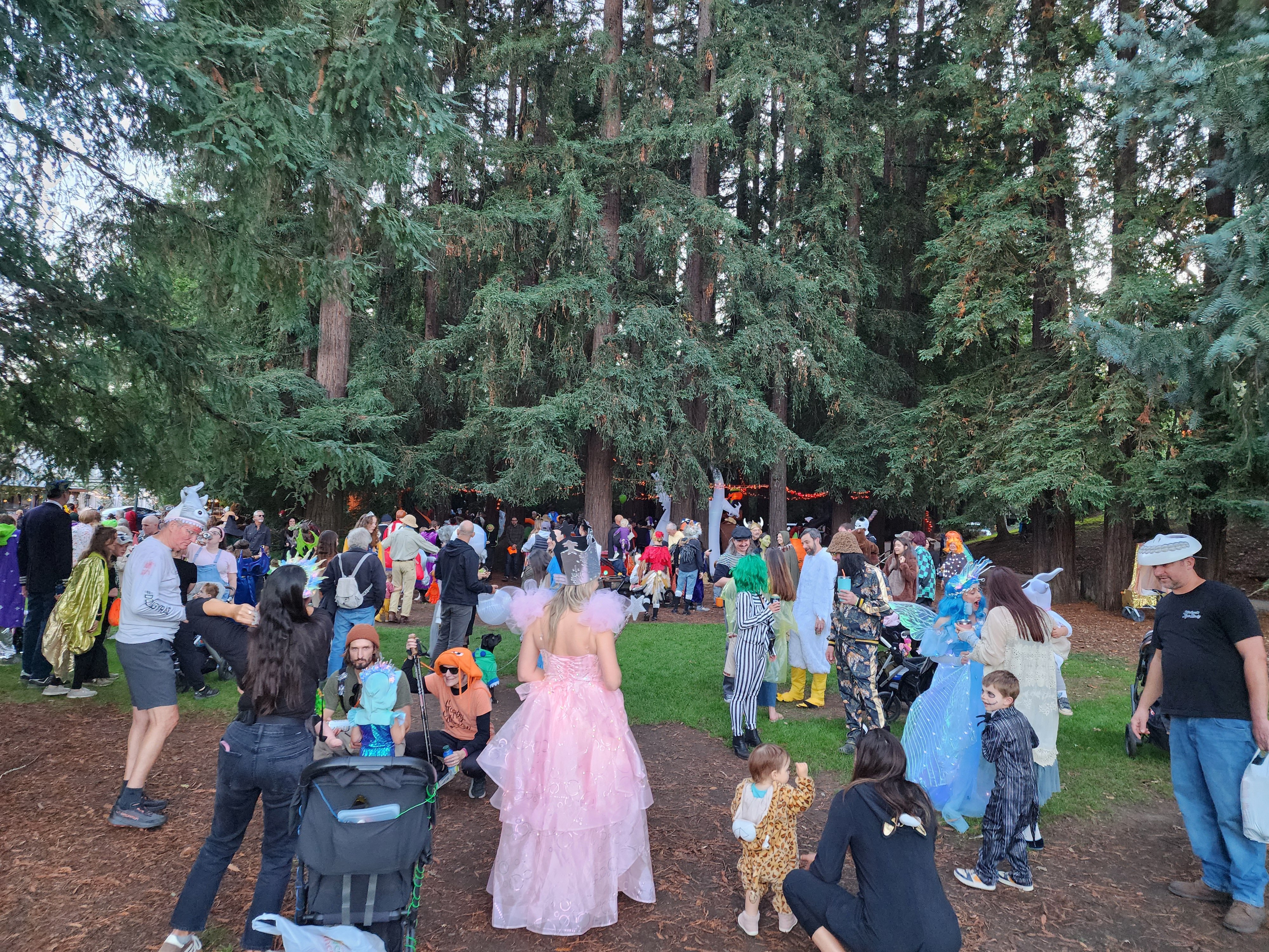 2026 Dominga Halloween Candy Drive campaign photo, 2 of 8