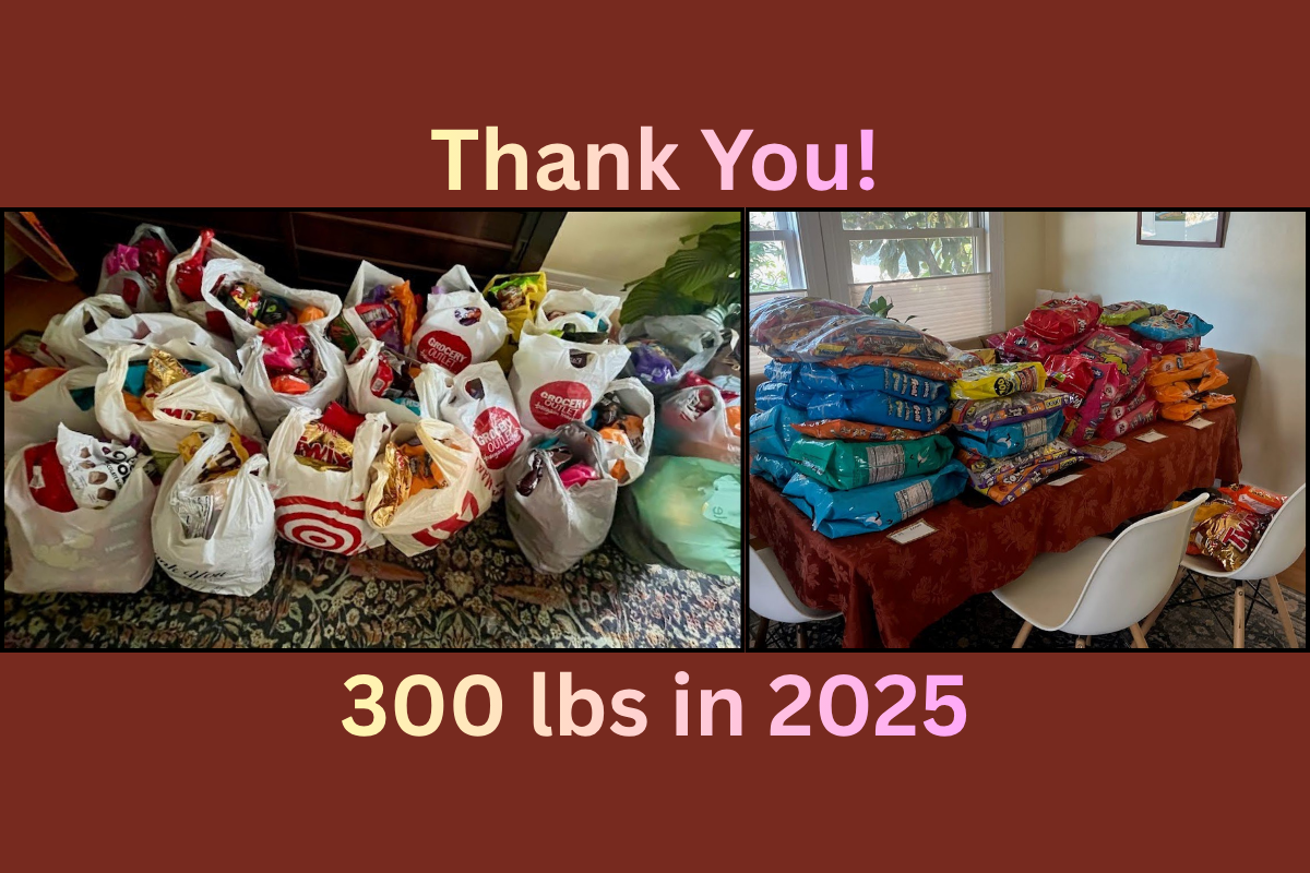 2026 Dominga Halloween Candy Drive campaign photo, 6 of 8