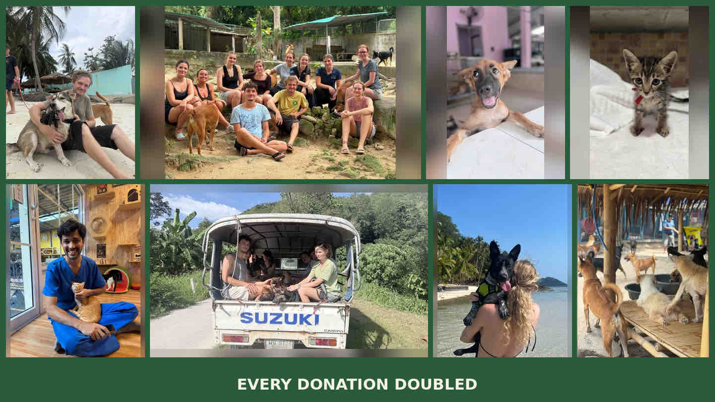 Donate by October 8 and I’ll double it: Help us raise 30k € campaign photo, 7 of 8