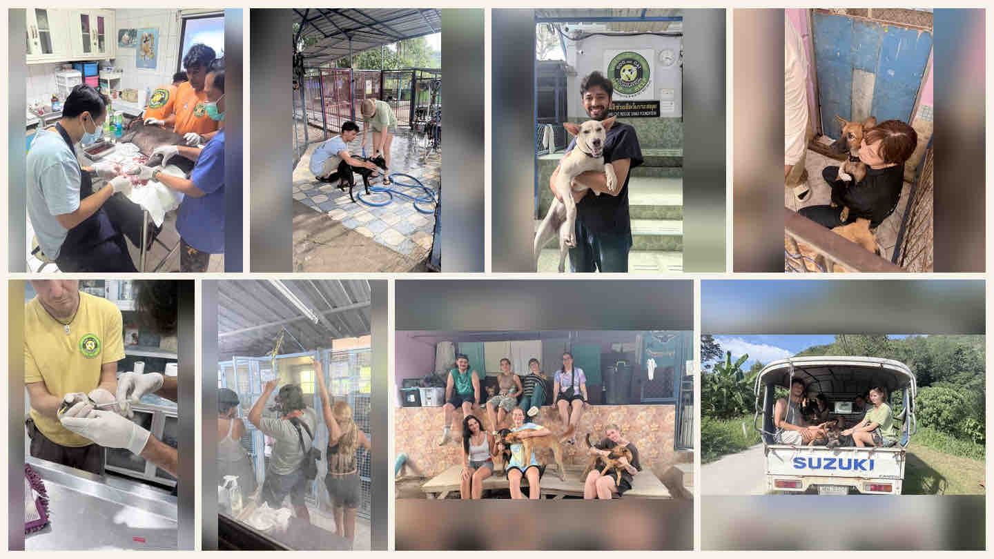 Donate by October 8 and I’ll double it: Help us raise 30k € campaign photo, 2 of 8