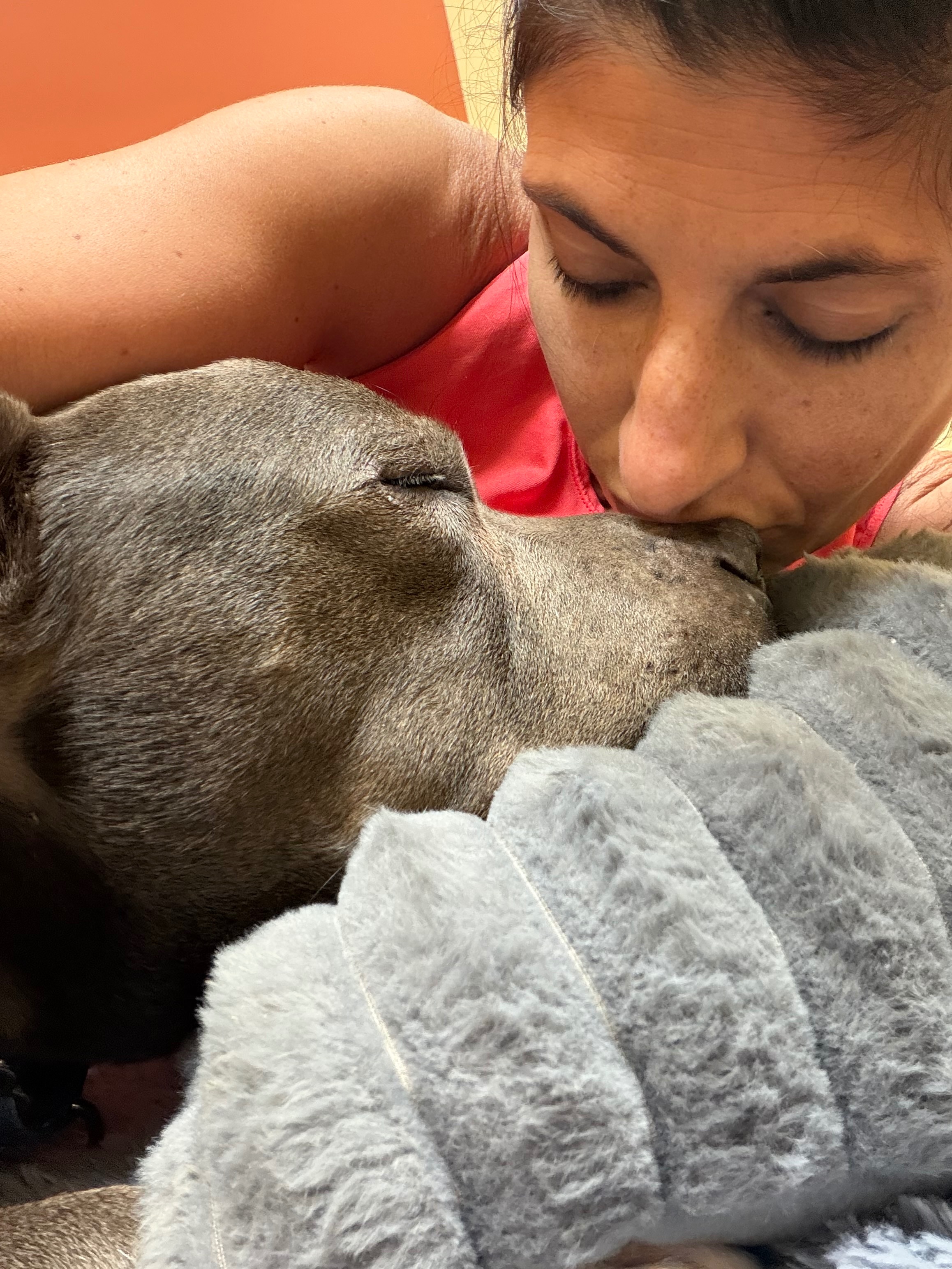 Help Little Bear Pay for Hospitalization and Vet Care campaign photo, 9 of 10