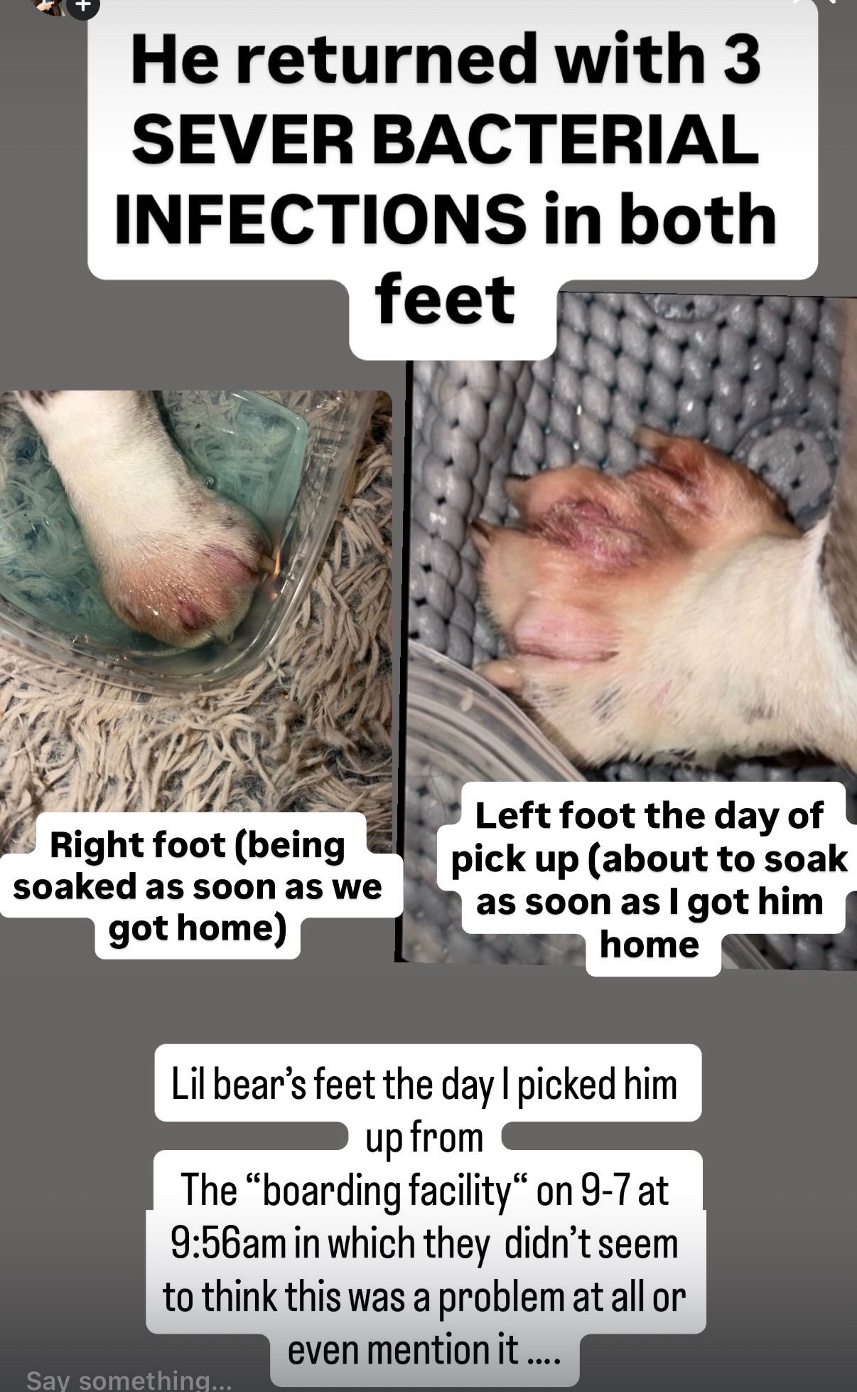 Help Little Bear Pay for Hospitalization and Vet Care campaign photo, 4 of 10