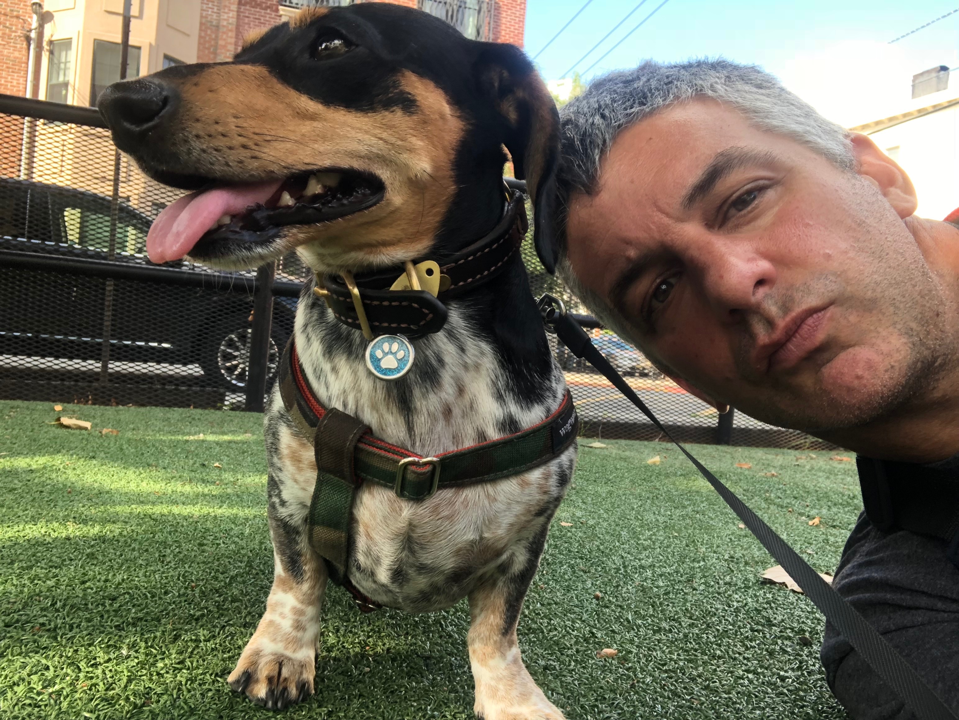Help Mike and Ace Get Care campaign photo, 4 of 7