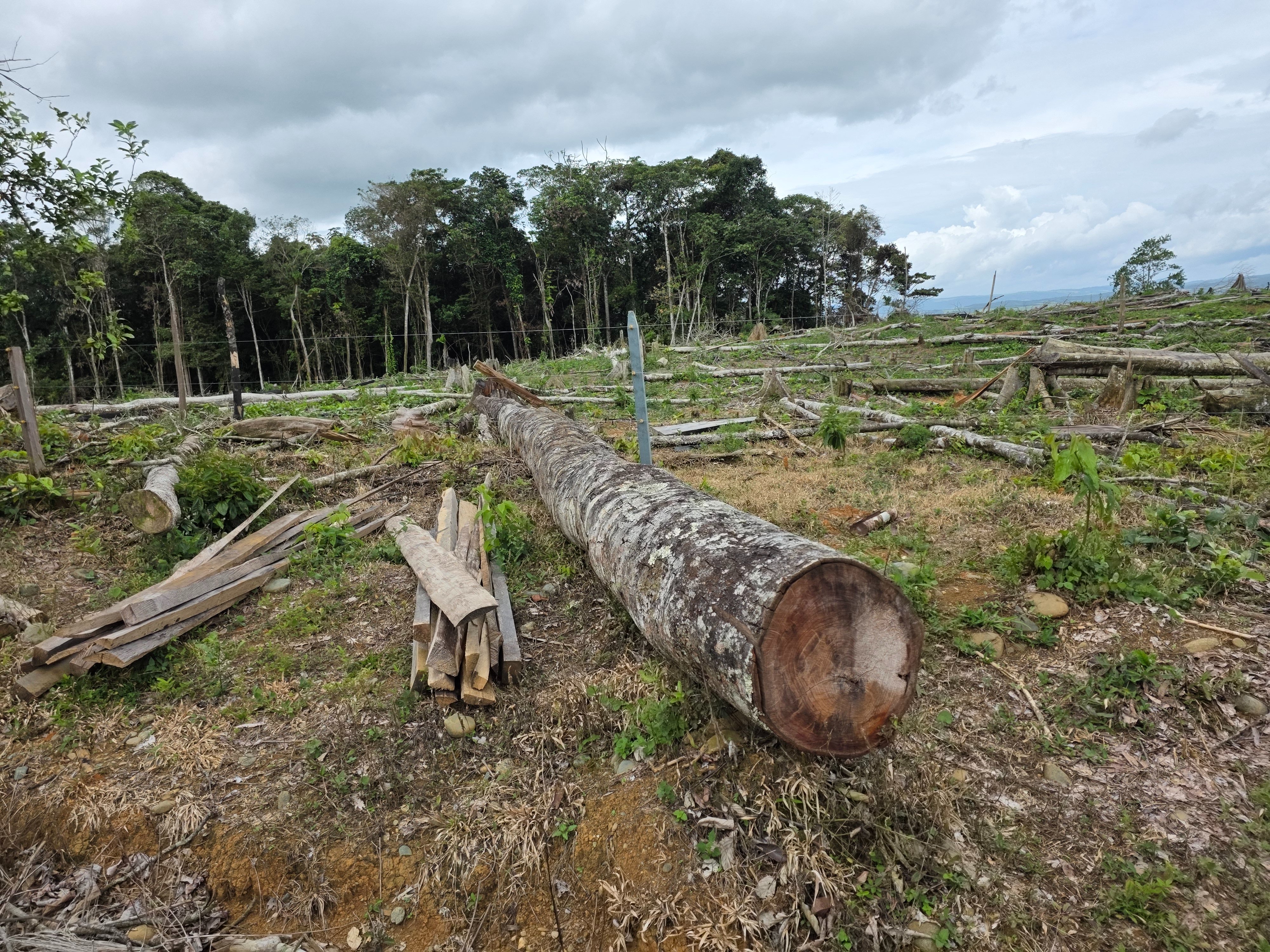Help Me Save a Rainforest Corridor campaign photo, 5 of 8