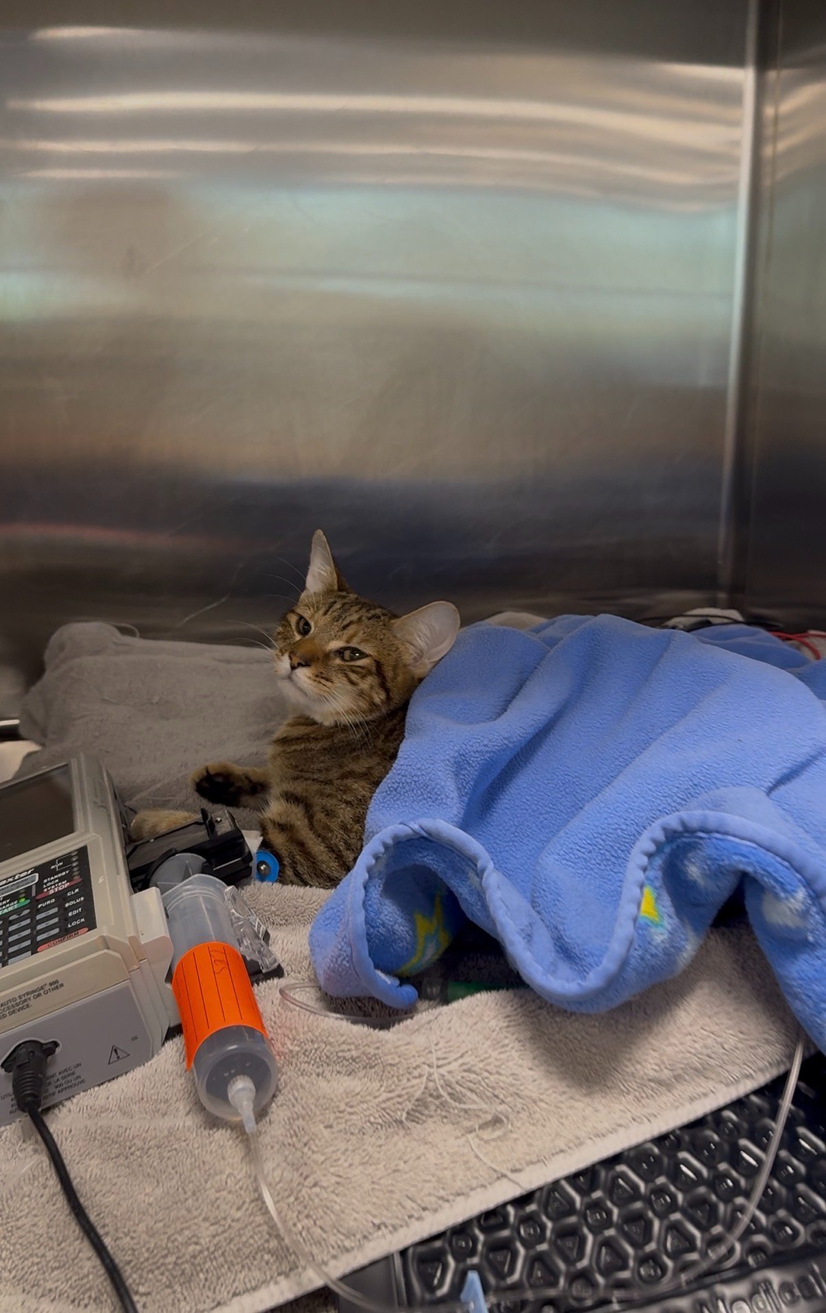 Francoise emergency surgery for internal bleeding campaign photo, 2 of 6