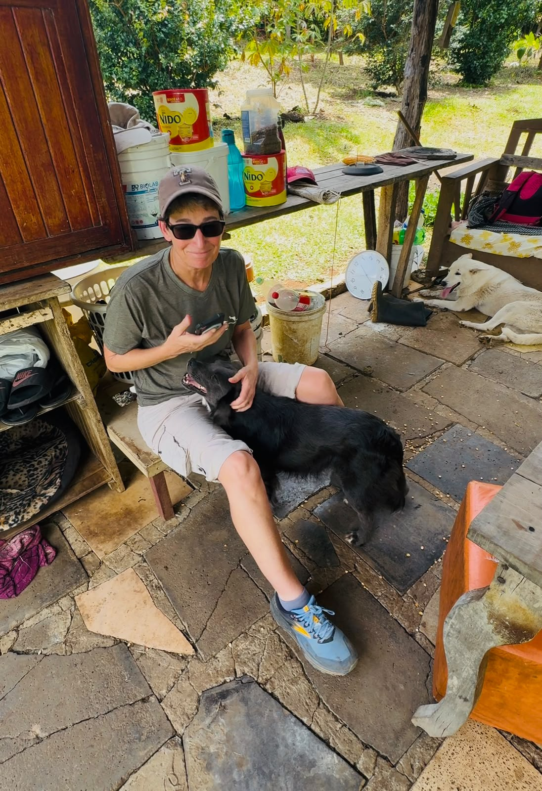 Urgent Care for Vulnerable Dogs & Cats in Atenas, Costa Rica campaign photo, 5 of 7