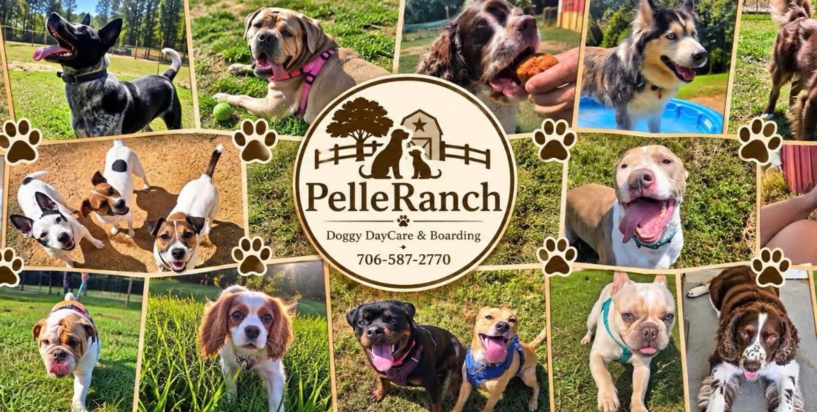 Support PelleRanch Through Forced Closure campaign photo, 7 of 8