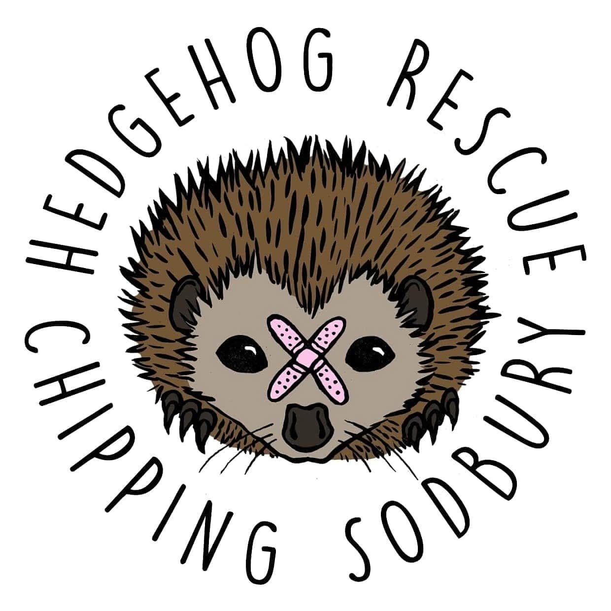 Chipping Sodbury Hedgehog rescue Fundraiser campaign photo, 2 of 8