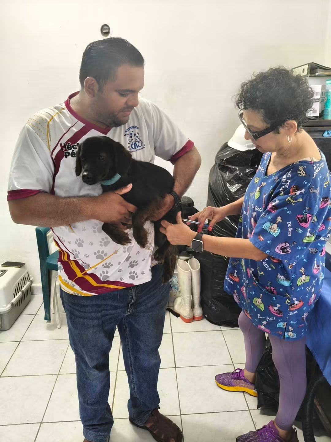 Esterilizar 100 animales en situación de calle campaign photo, 2 of 8