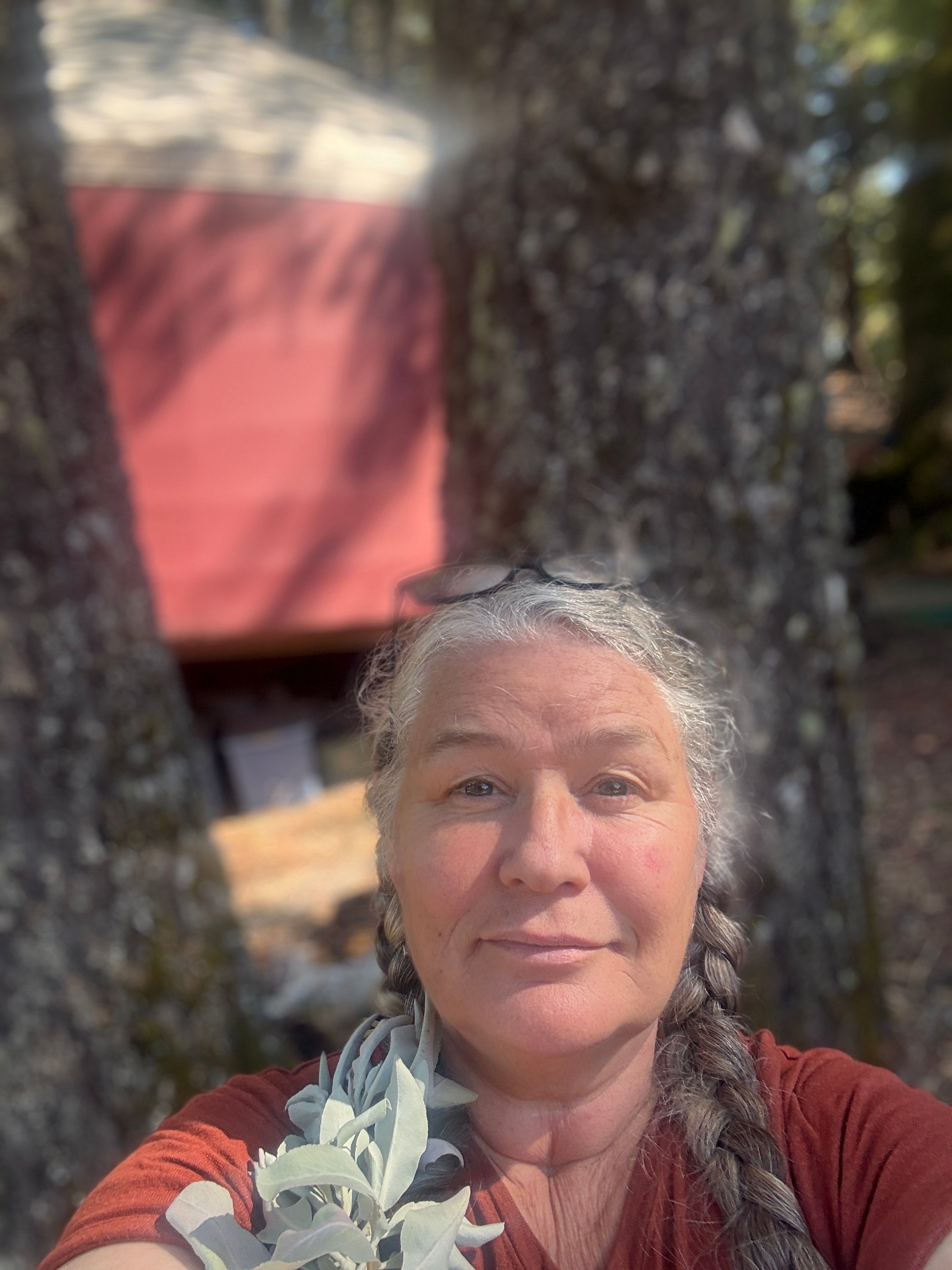 Cut down the Danger Tree: Save Kiri's yurt! campaign photo, 5 of 8