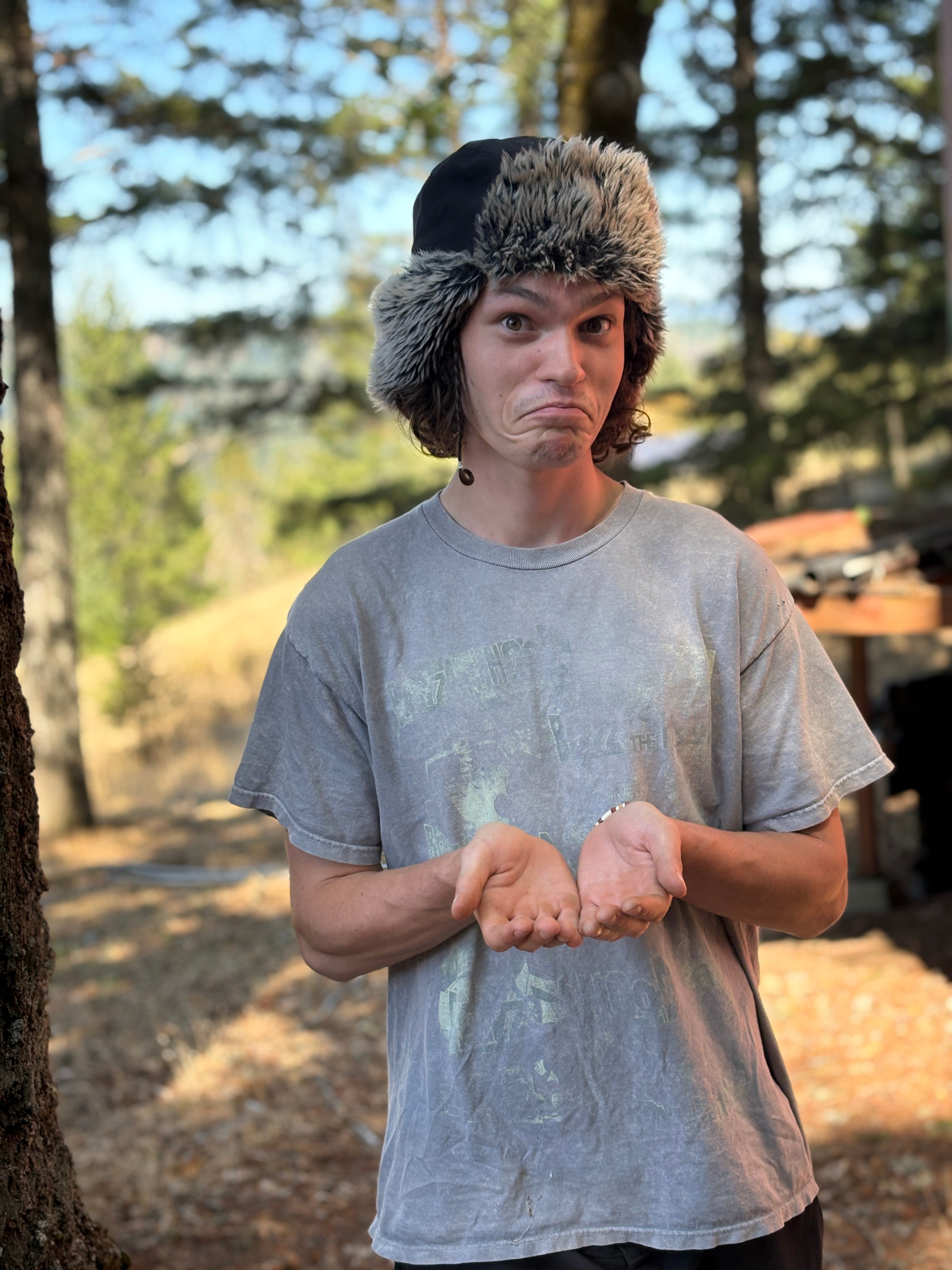 Cut down the Danger Tree: Save Kiri's yurt! campaign photo, 6 of 8