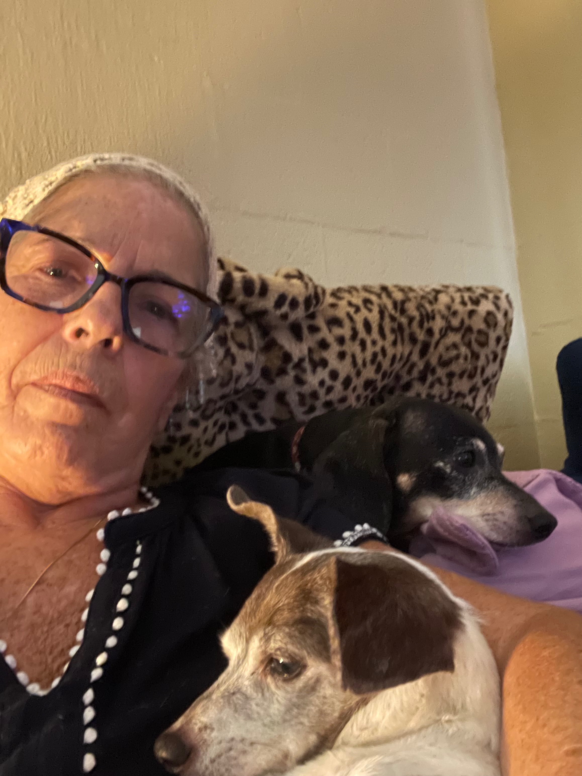 Help Sheri Honor Max’s Memory campaign photo, 2 of 5