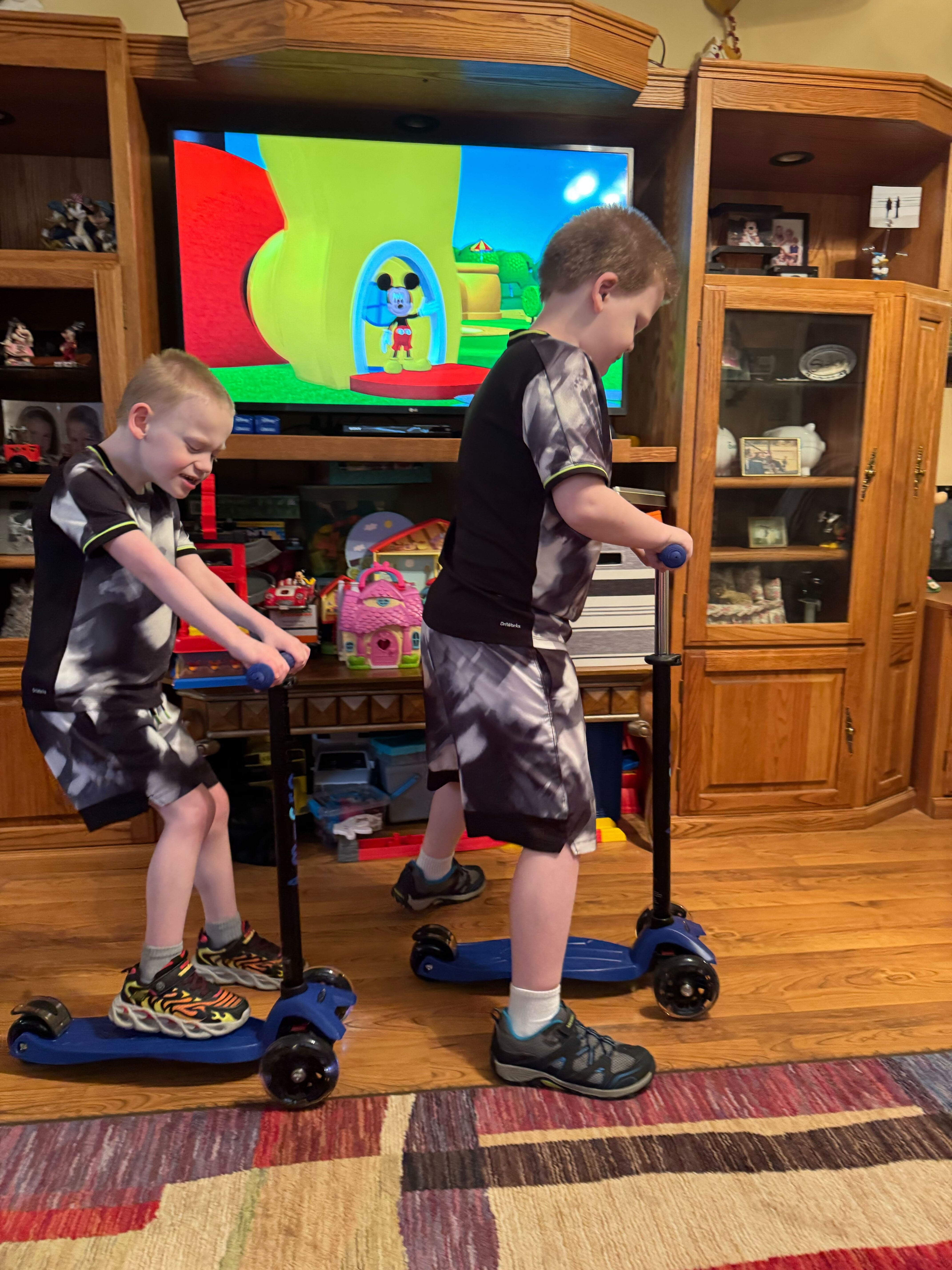 Fundraiser by Mistie Harvey : Donate for Willy’s Care and Surgery Costs