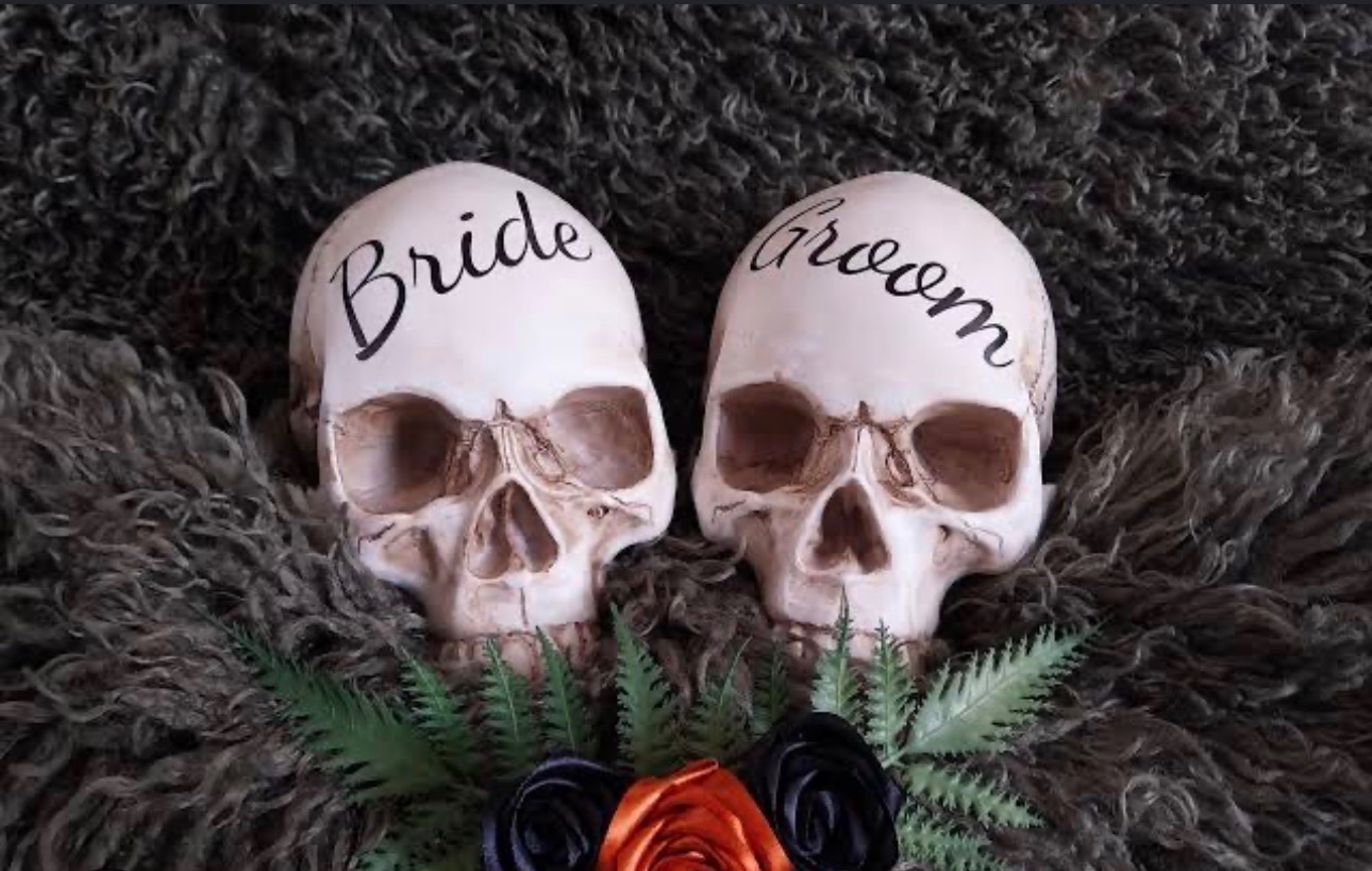 Our Little Gothic Halloween Wedding campaign photo, 2 of 7