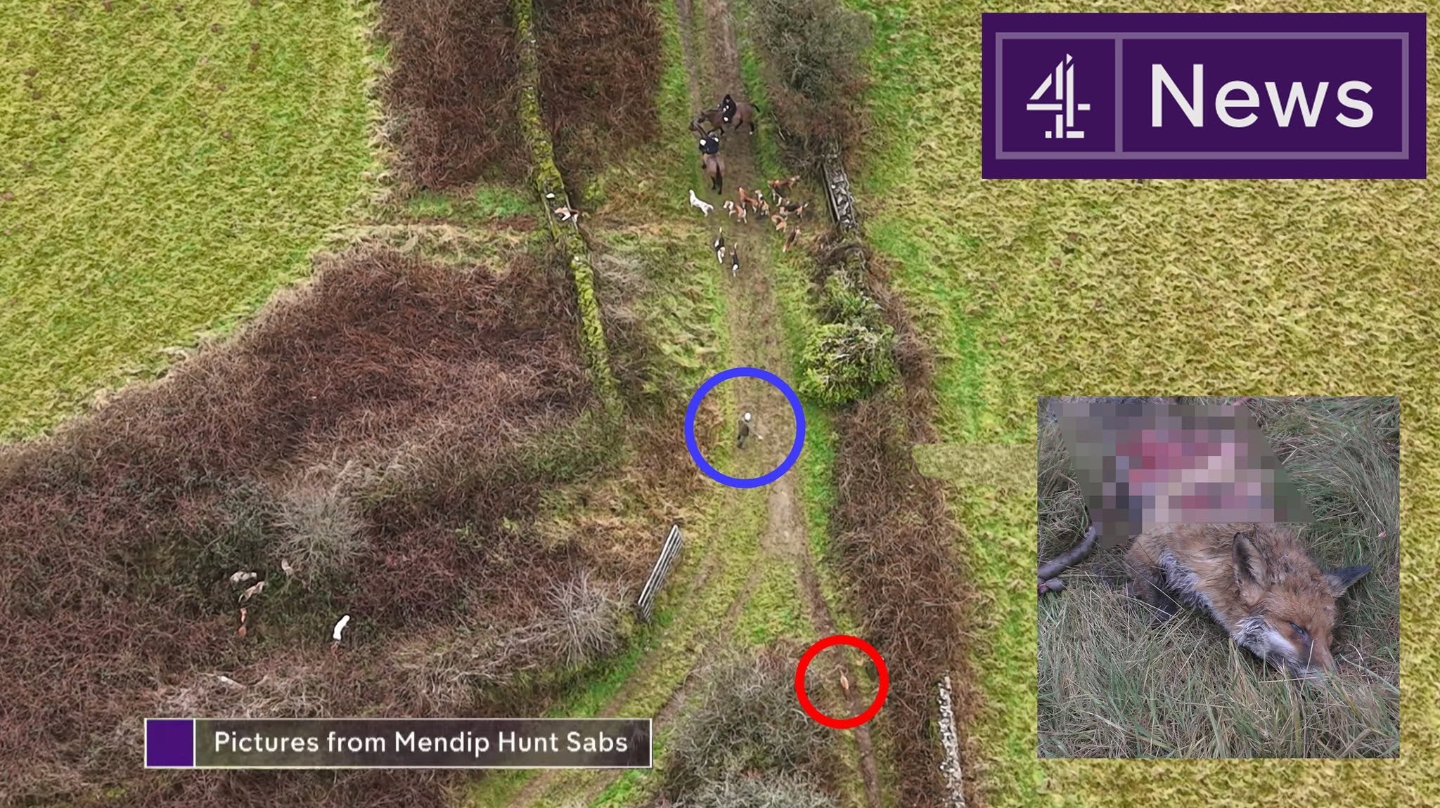 Mendip Hunt Sabs Vehicle Repairs campaign photo, 4 of 8