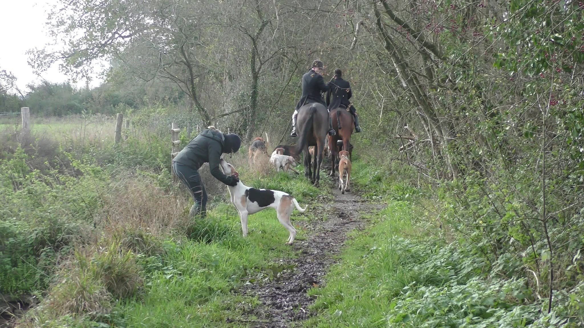 Mendip Hunt Sabs Vehicle Repairs campaign photo, 5 of 8