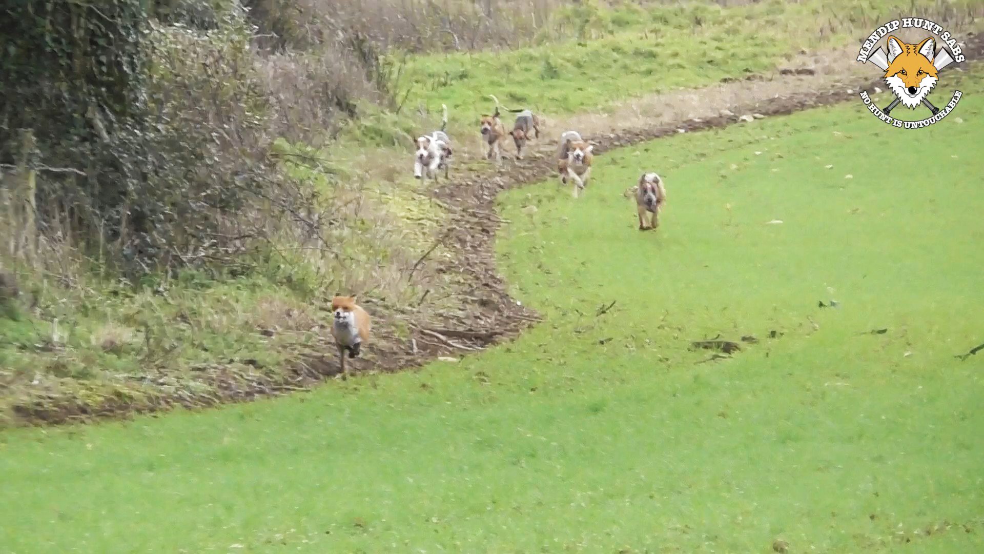 Mendip Hunt Sabs Vehicle Repairs campaign photo, 6 of 8