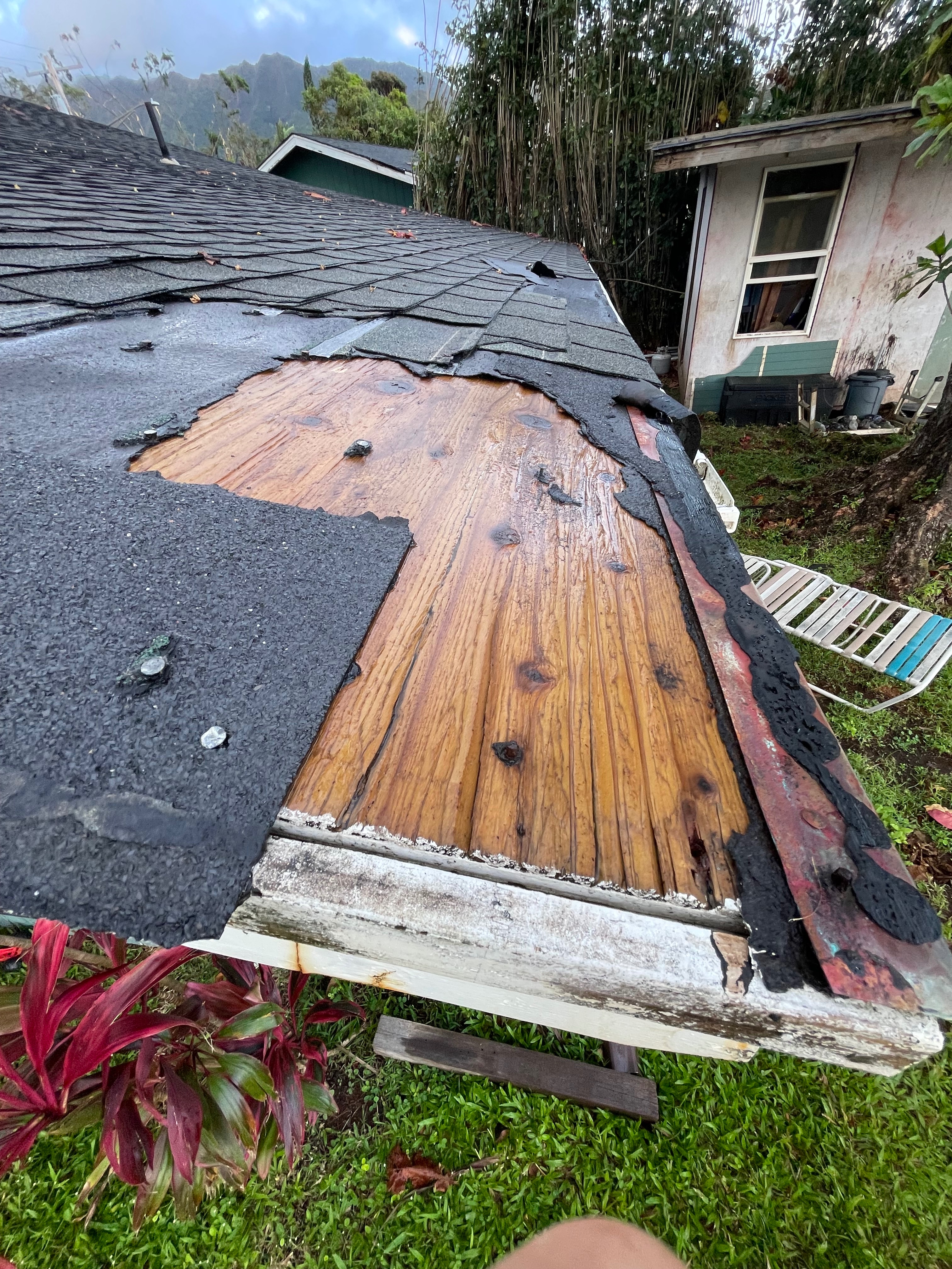 Linda derohan after Hurricane Lowell and loss of her husband campaign photo, 6 of 10