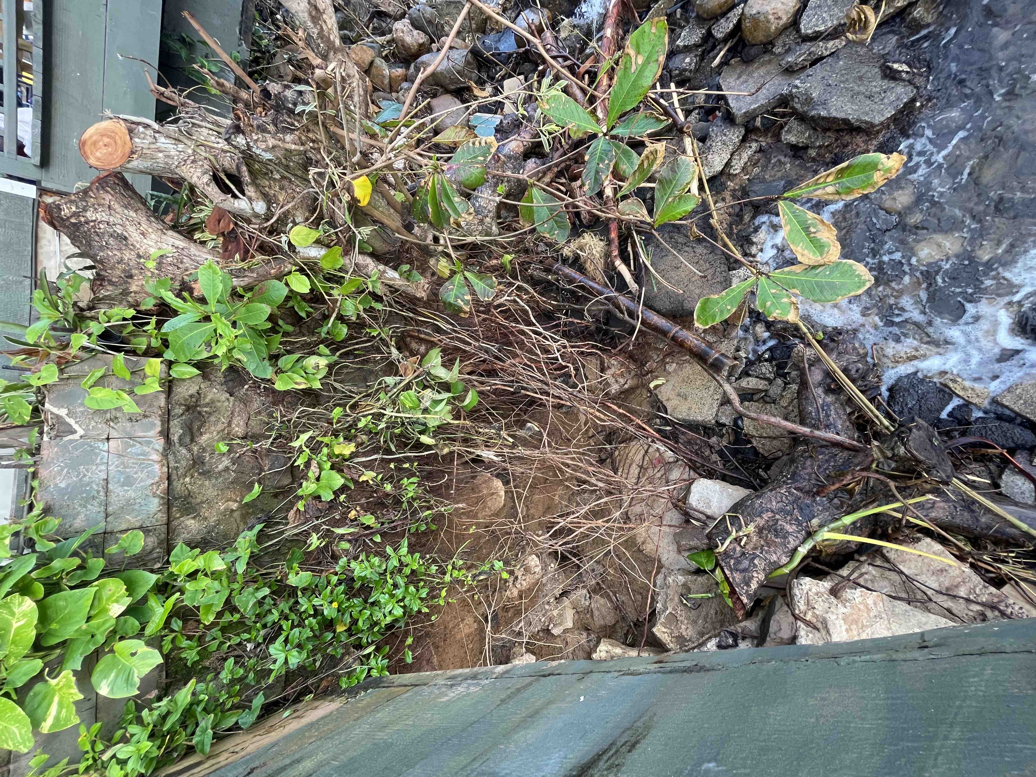 Hurricane Lowell Erodes Home please Help family campaign photo, 10 of 13