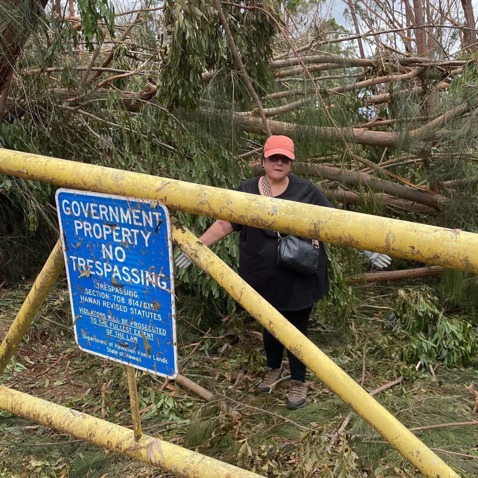 Recovering After Hurricane Lowell campaign photo, 7 of 8