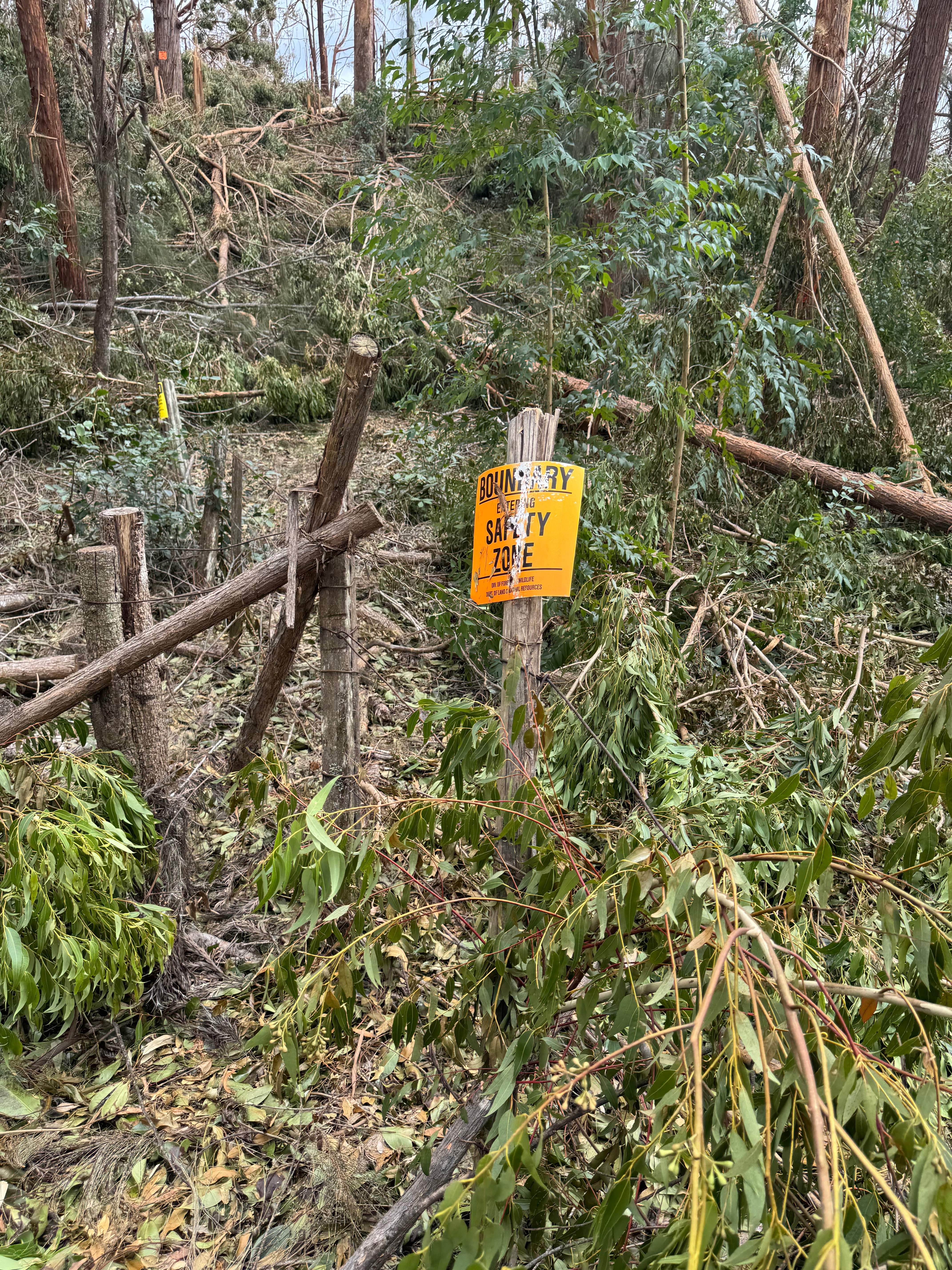 Recovering After Hurricane Lowell campaign photo, 5 of 8