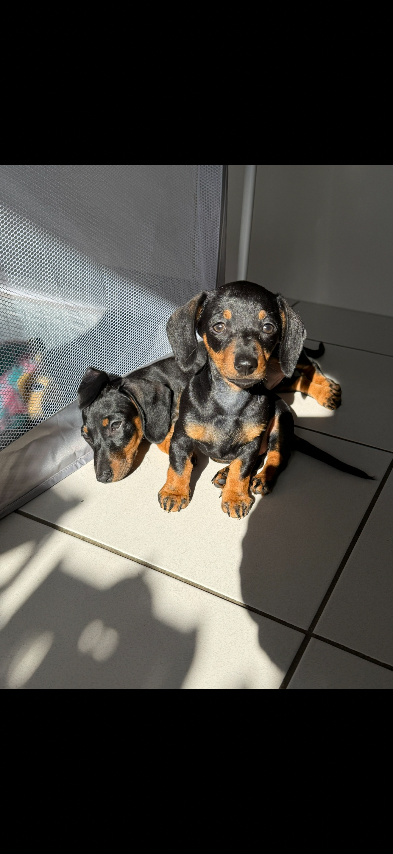 Help Bobbi fight for her life ♥️ campaign photo, 2 of 8