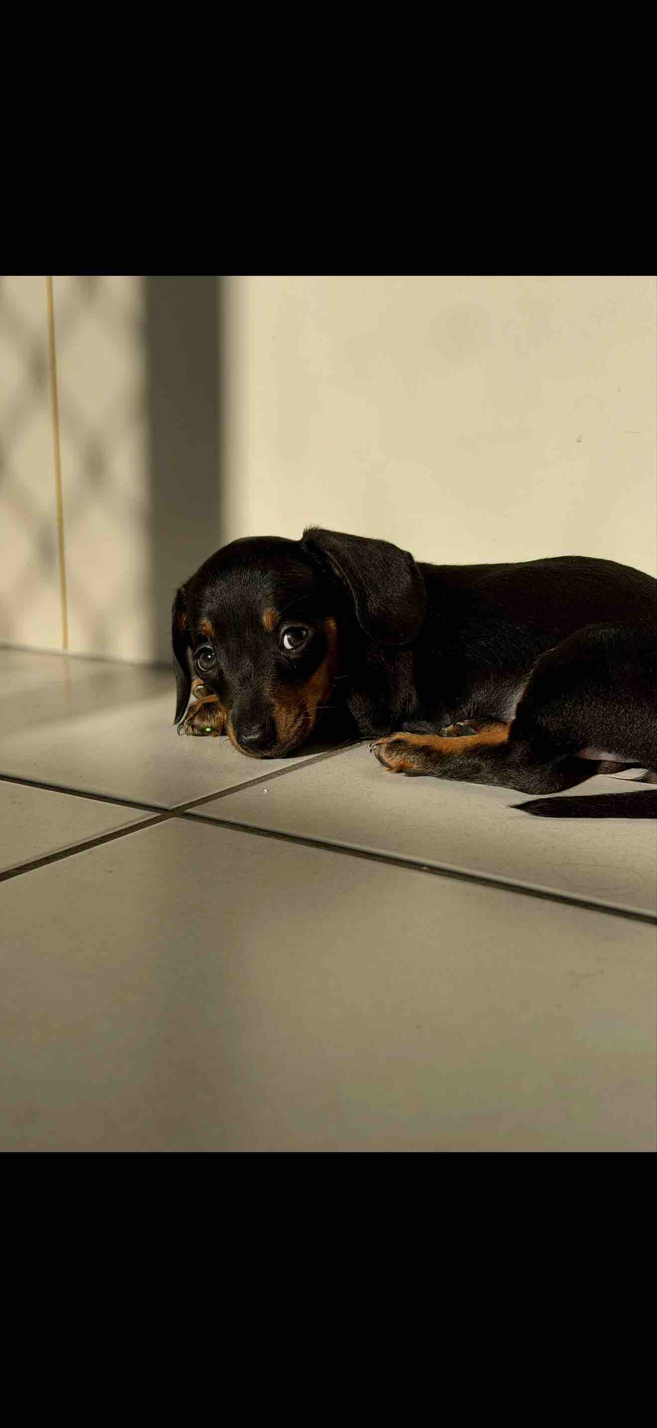 Help Bobbi fight for her life ♥️ campaign photo, 5 of 8