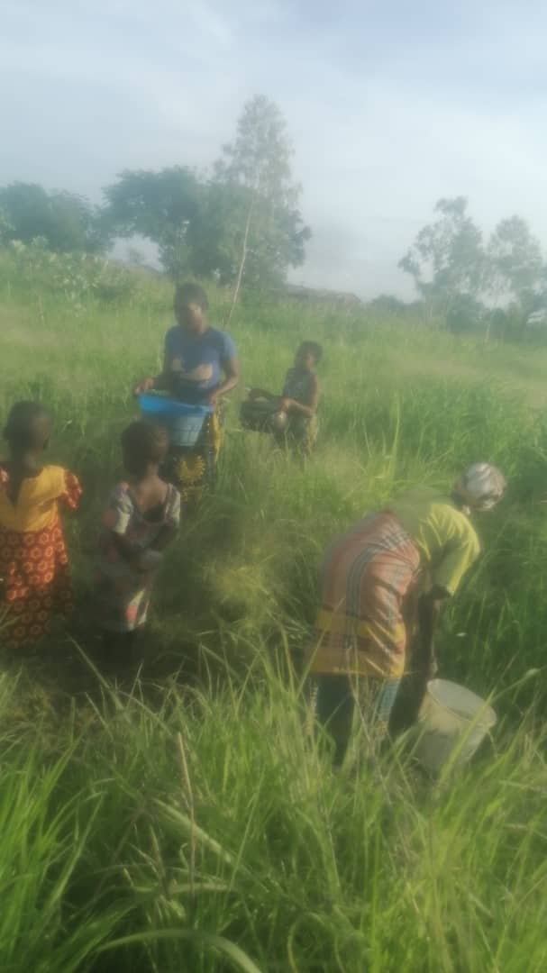 MORE FRESHWATER BOREHOLES FOR ST. PAUL MATIYA PARISH, MALAWI campaign photo, 7 of 8