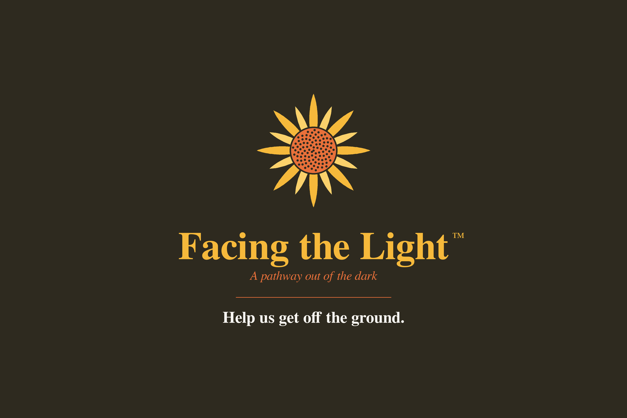 Help Launch Facing the Light campaign photo, 6 of 7