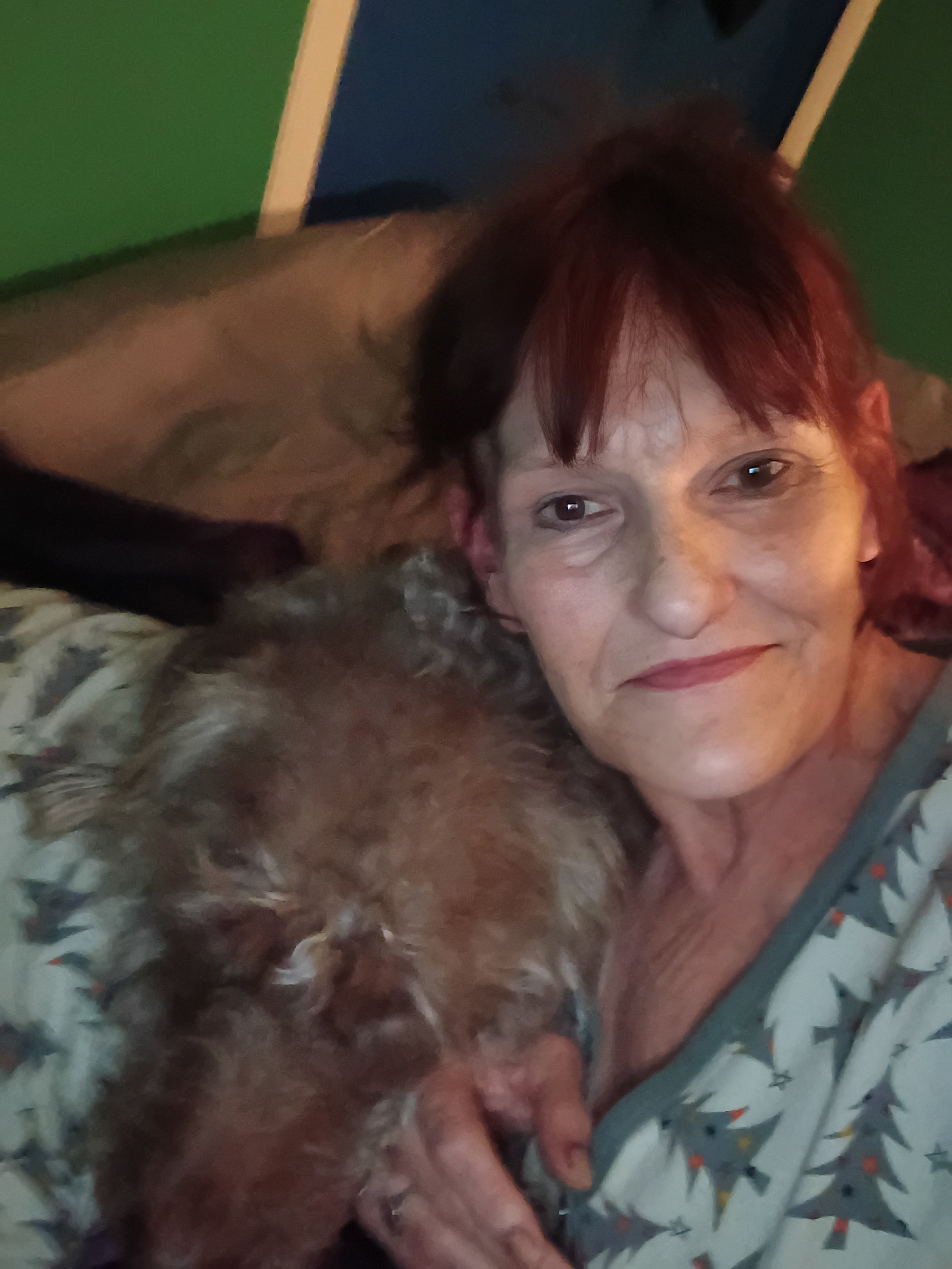A Safe Move for My Dogs and Me campaign photo, 2 of 7
