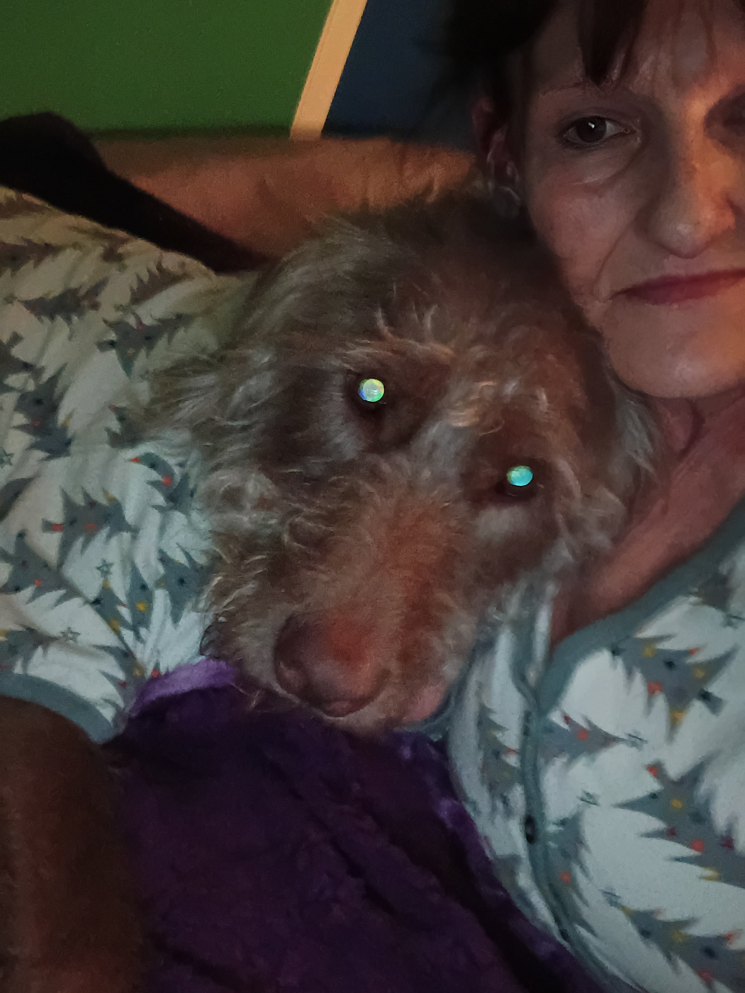 A Safe Move for My Dogs and Me campaign photo, 5 of 7