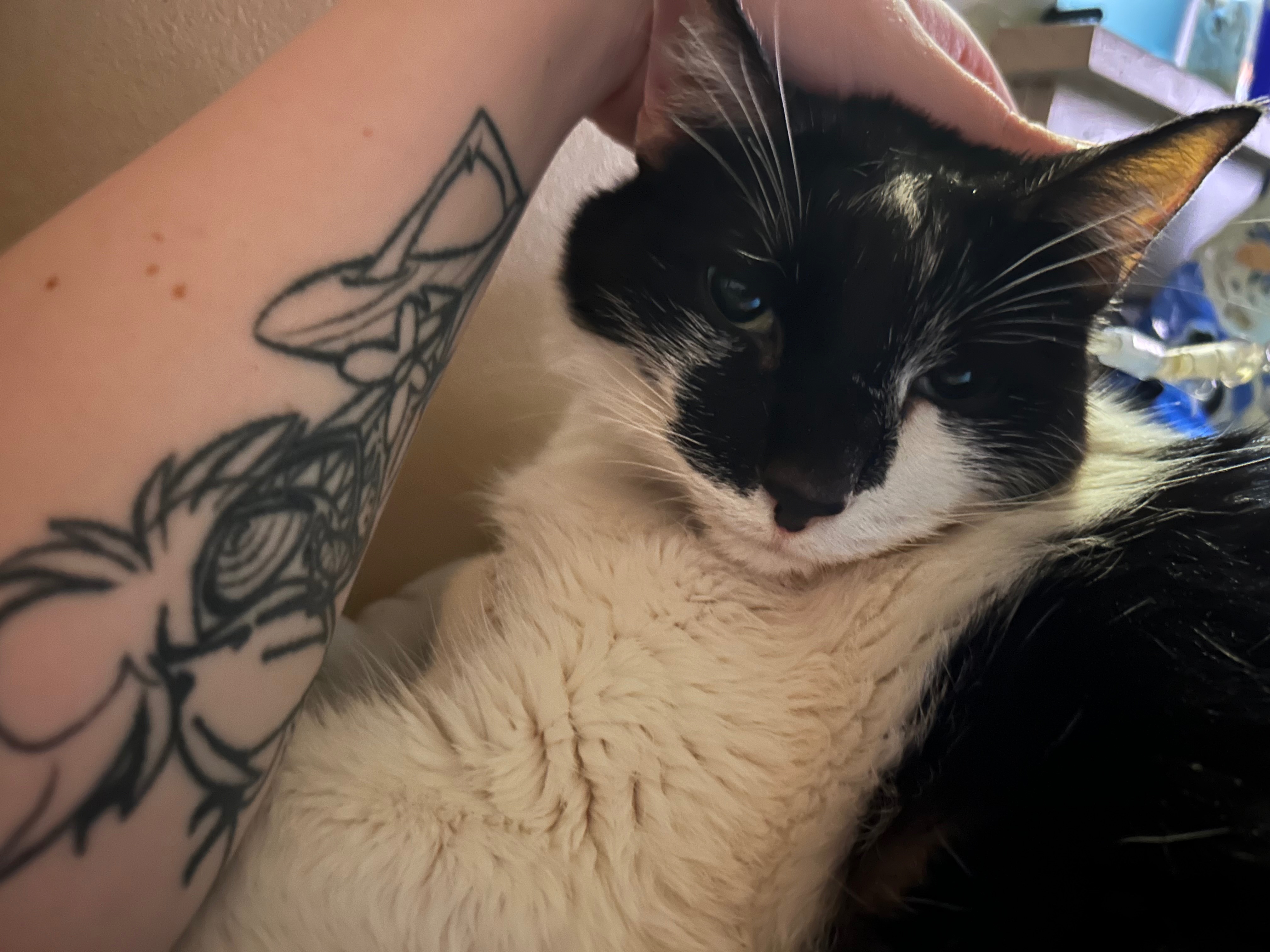 Help Arson Keep Fighting for Deku campaign photo, 2 of 7