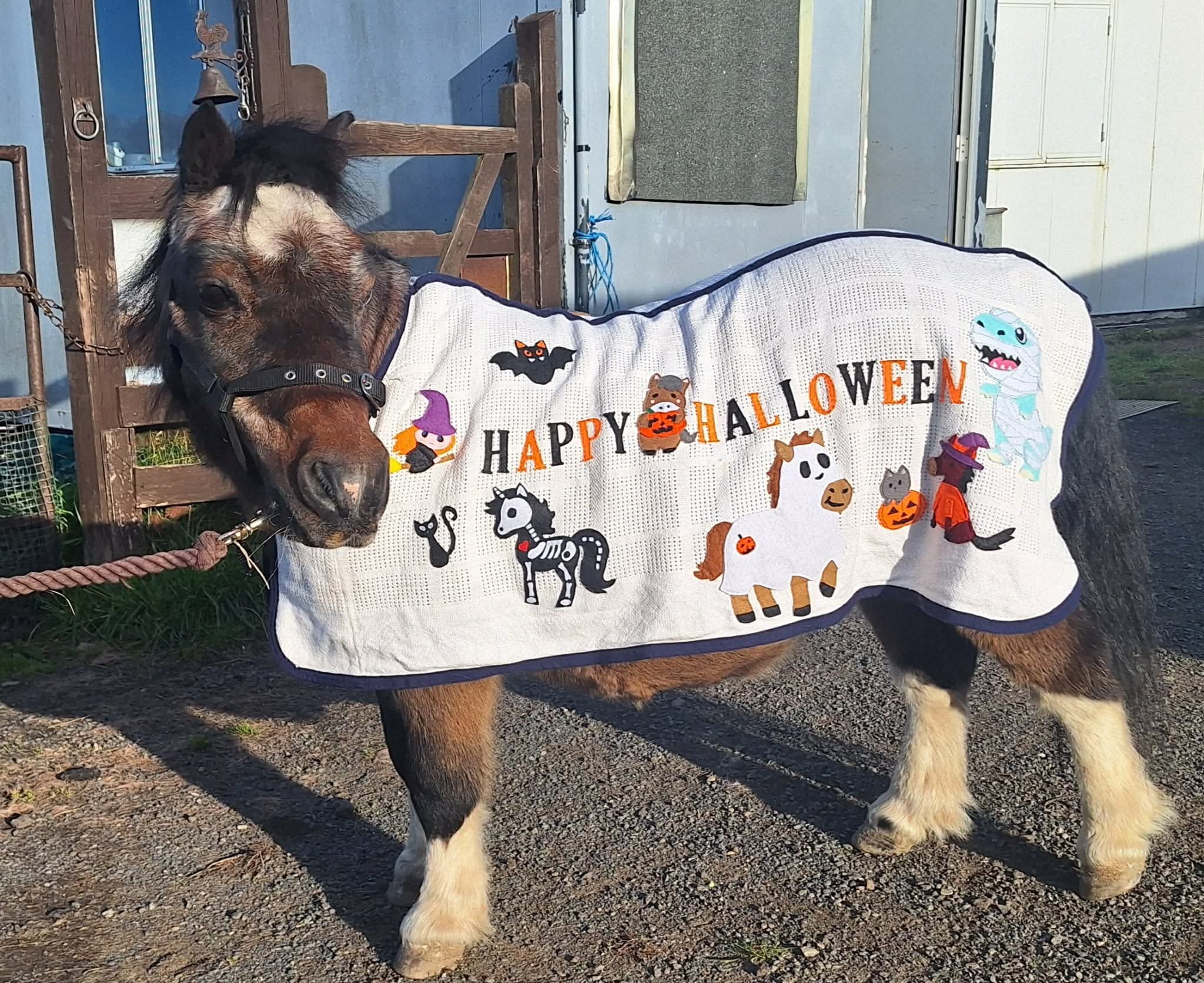 Fundraiser by Cathy Holmes : Halloween Walk 2026 Roleystone Horse and ...