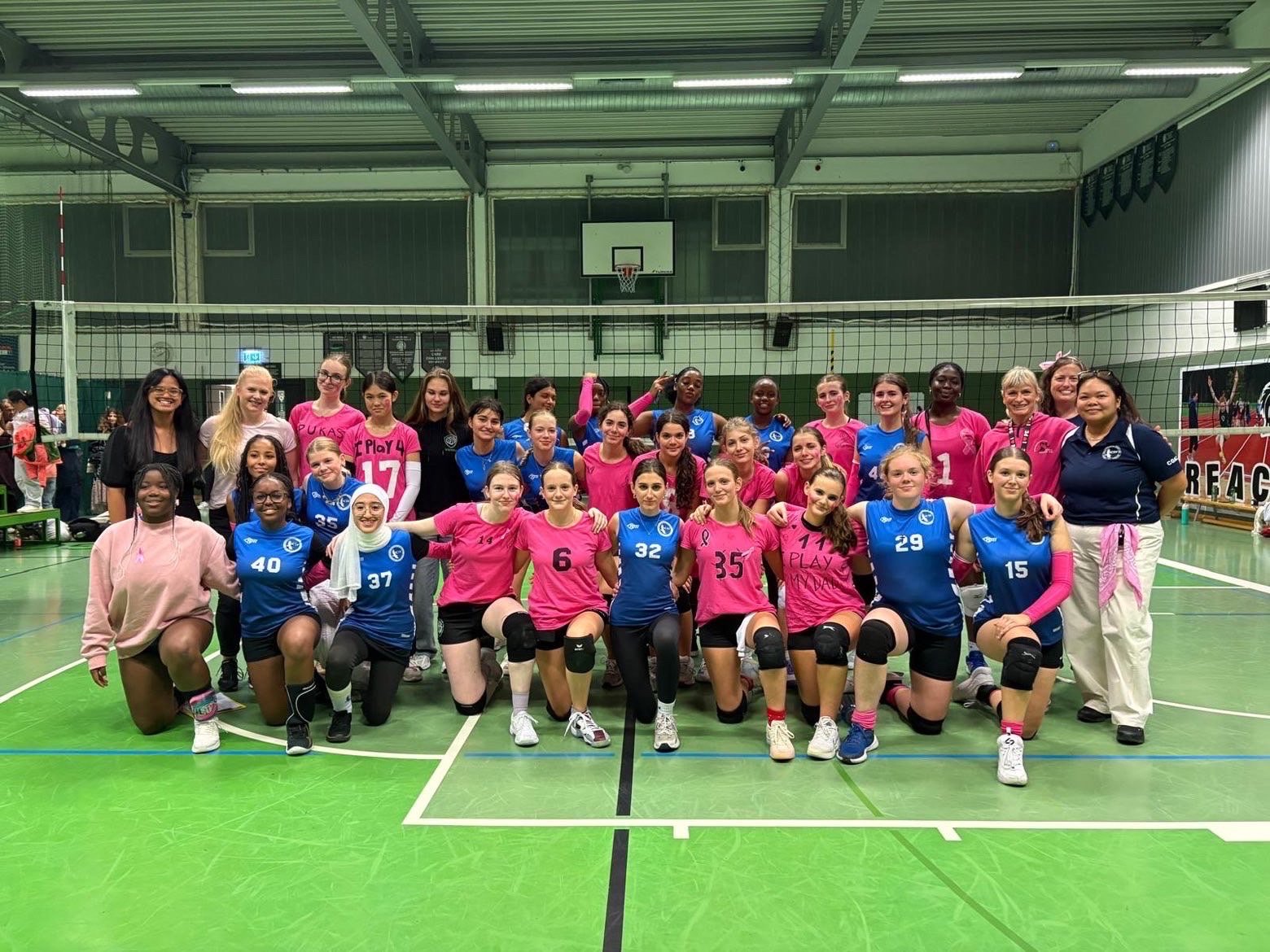 AIS's Breast Cancer Project, fundraising for the ABCSG campaign photo, 5 of 7